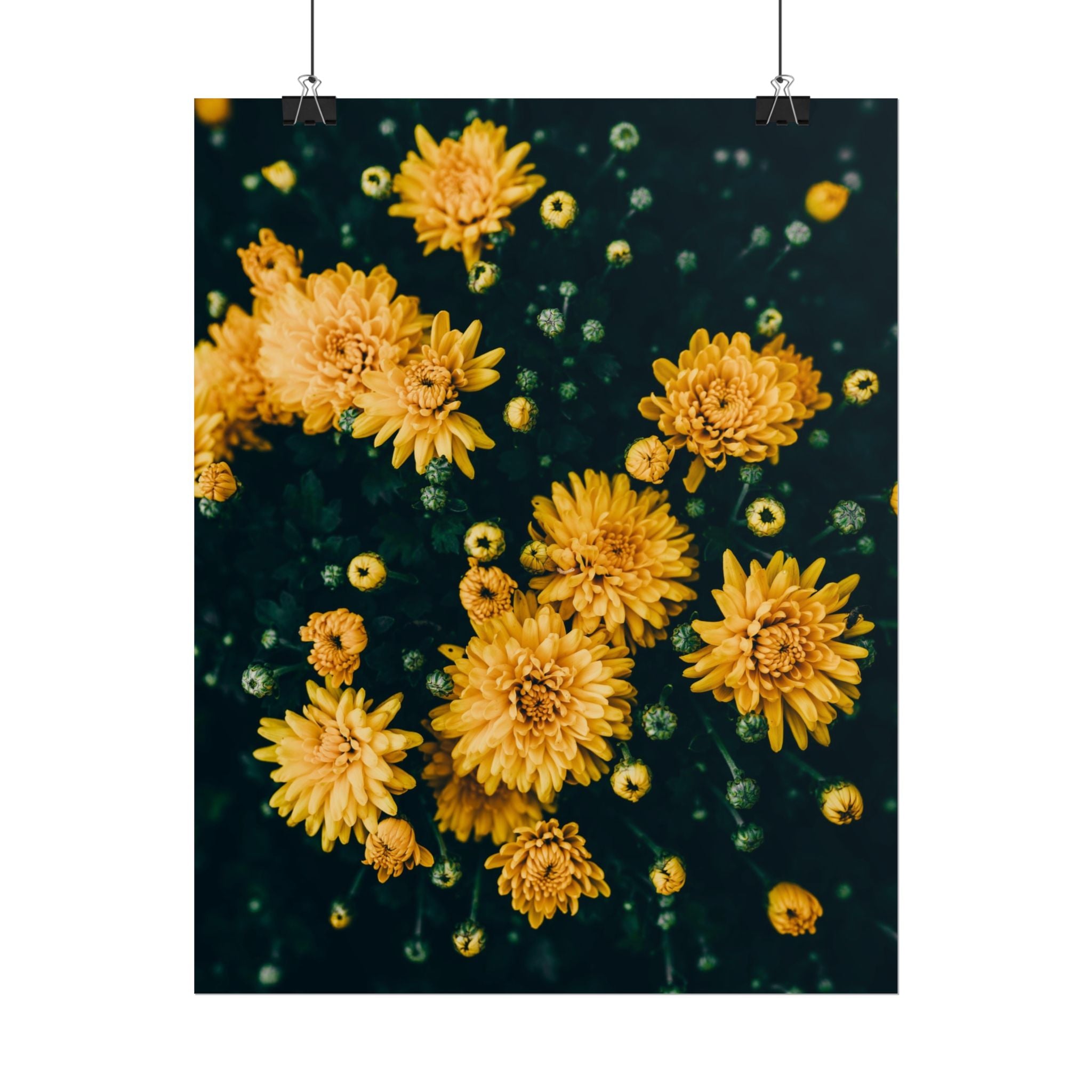 yellow-flower-art-poster-print-floral-wall-decor-floral-home-decor-gift-dark-botanical-art-print