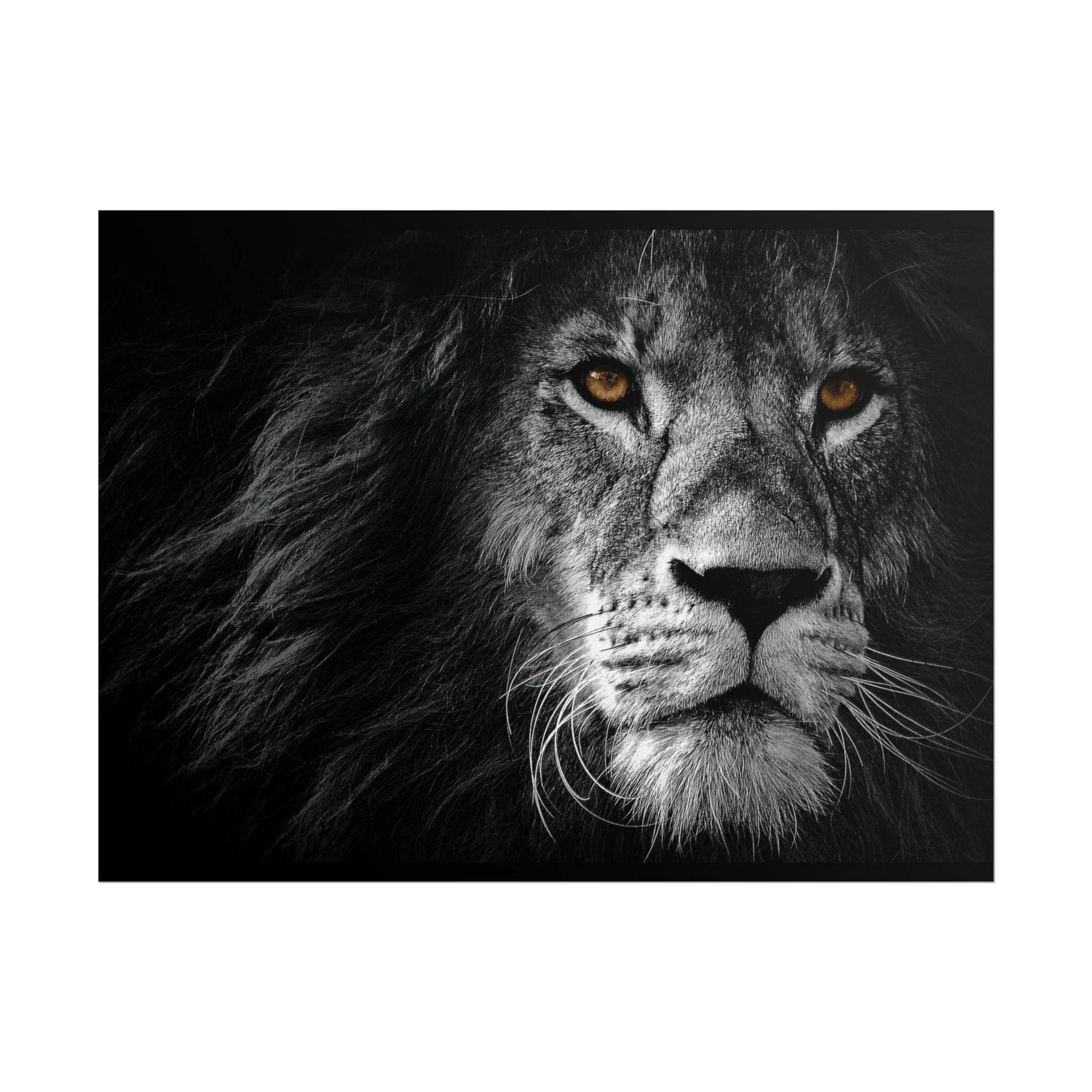 poster-print-lion-wall-art-black-and-white-monochrome-decor-living-room-decor-lion-poster-jungle-animal-art-print-wildlife-sa