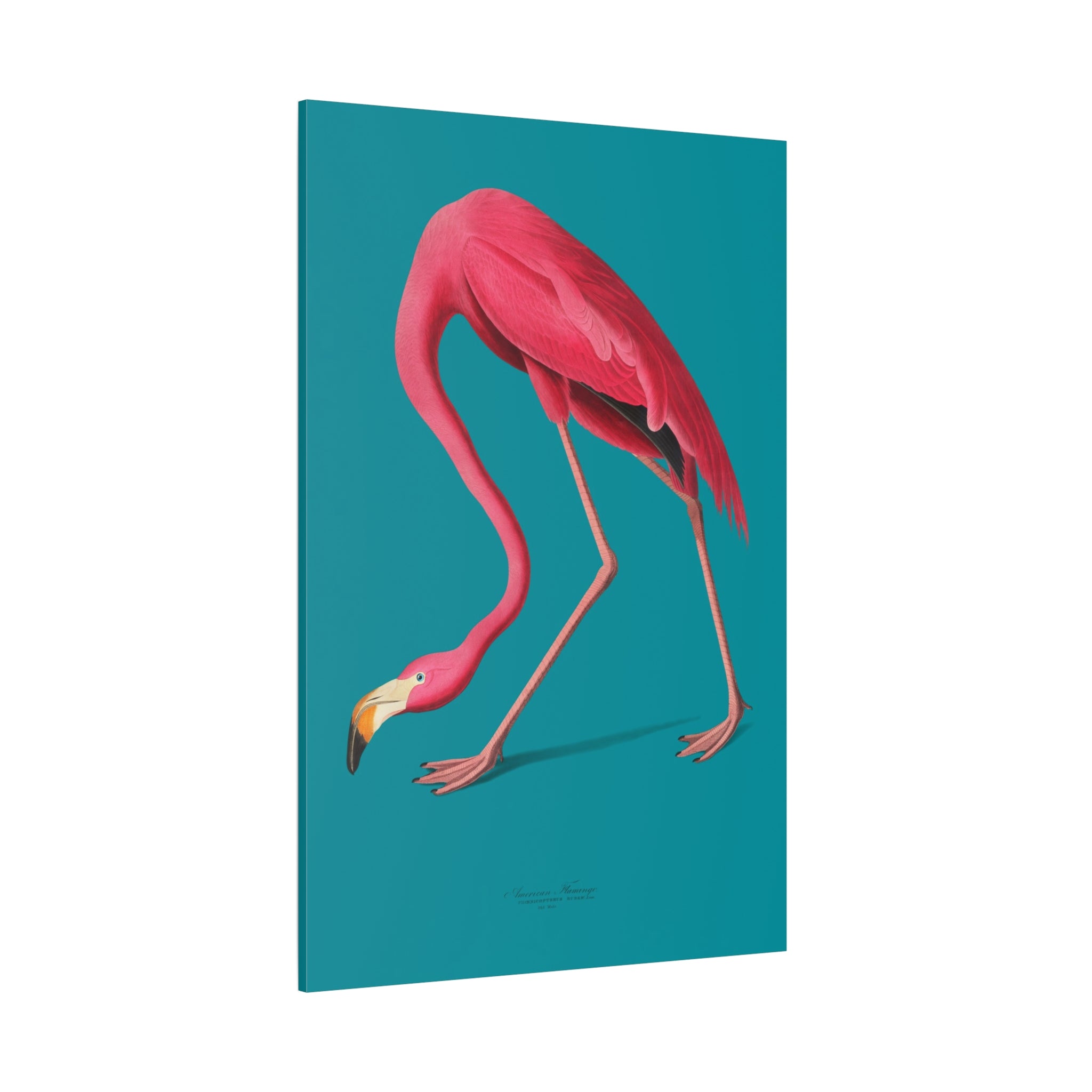canvas-print-pink-flamingo-wall-art-vintage-home-decor-living-room-decor-stretched-canvas-art-pink-wall-art-flamingo-illustra