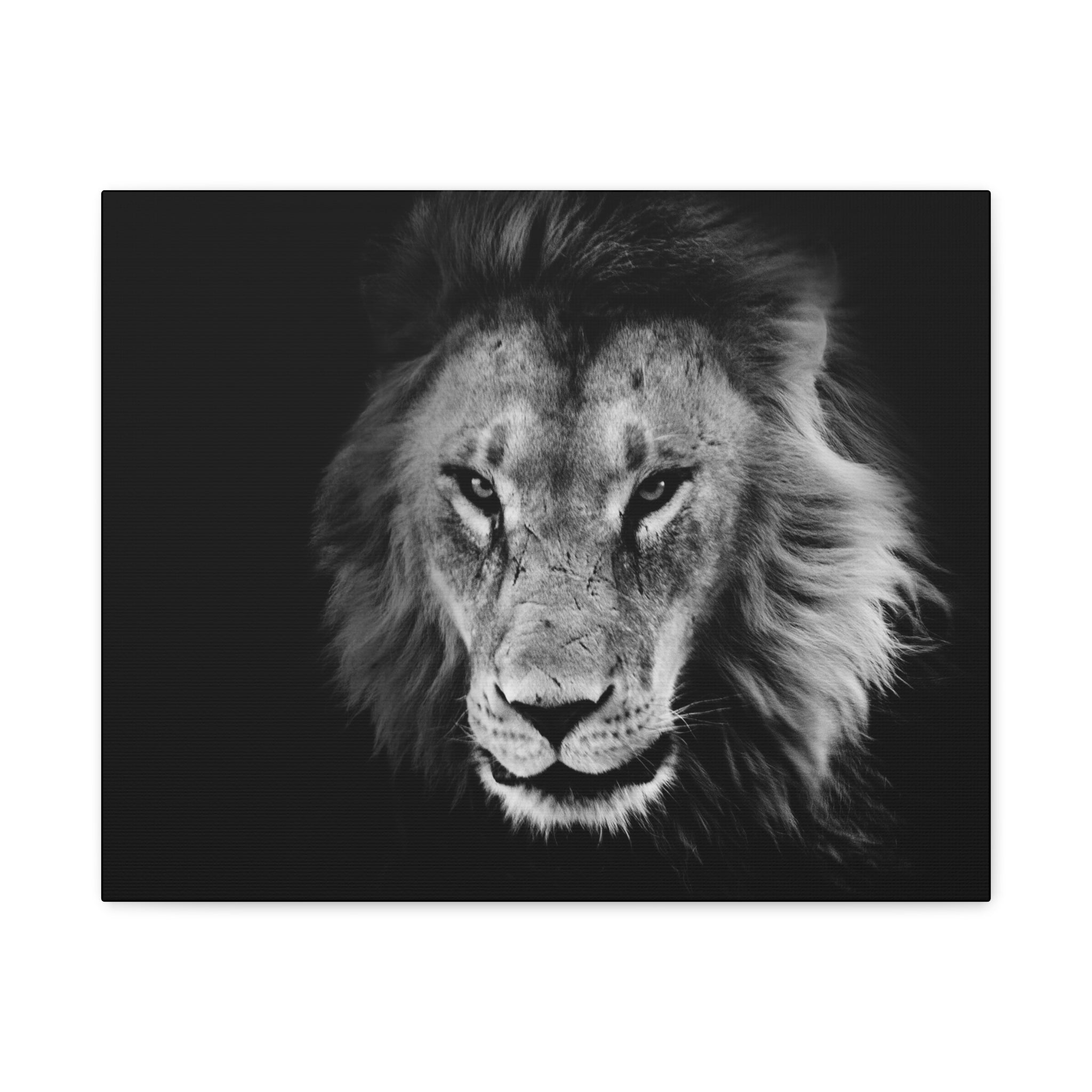 canvas-print-lion-wall-art-black-and-white-living-room-decor-matte-stretched-lion-poster-jungle-animal-art-print-wildlife-saf