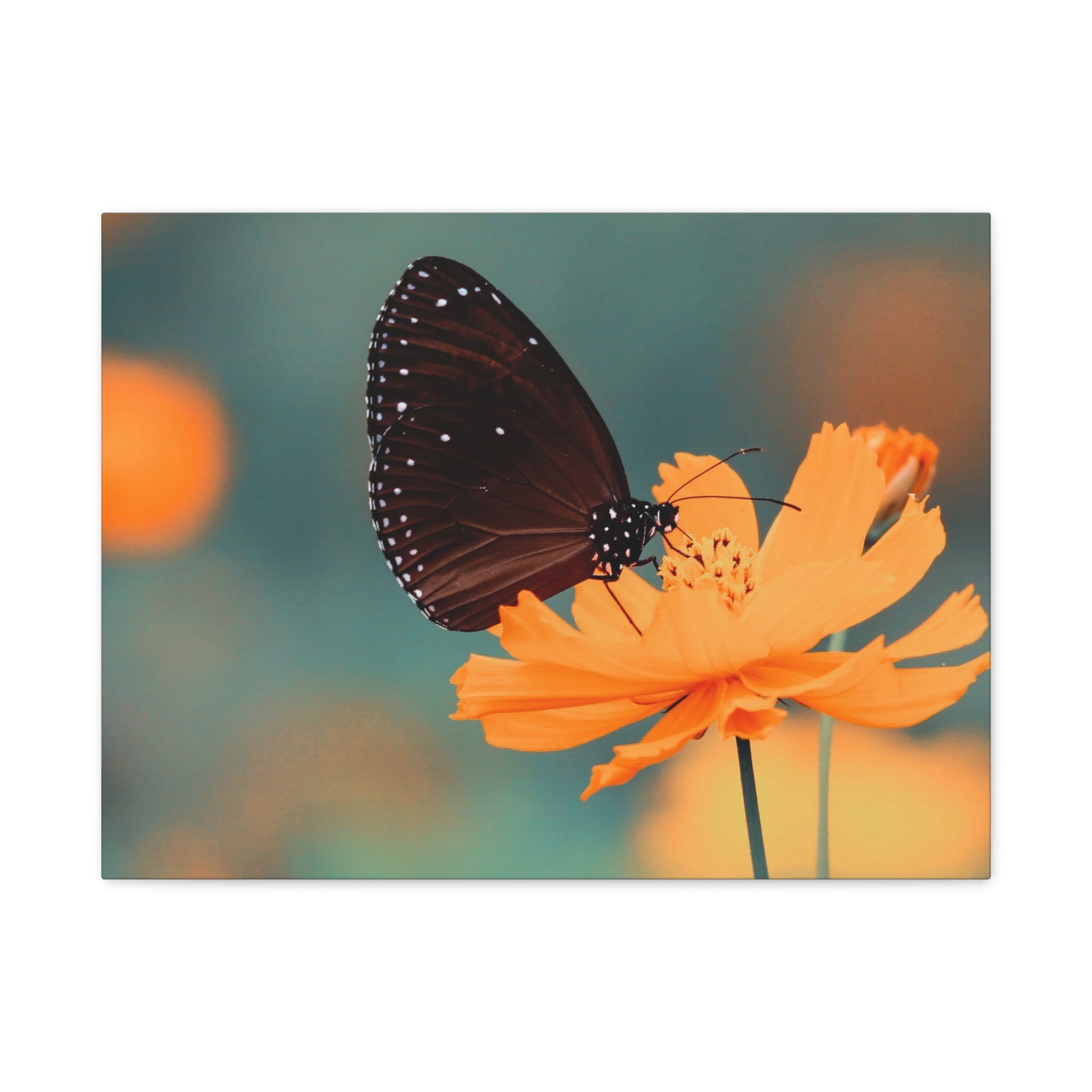 canvas-print-aesthetic-butterfly-monarch-butterfly-living-room-decor-housewarming-gift-wall-art-nature-wall-art-butterfly-dec
