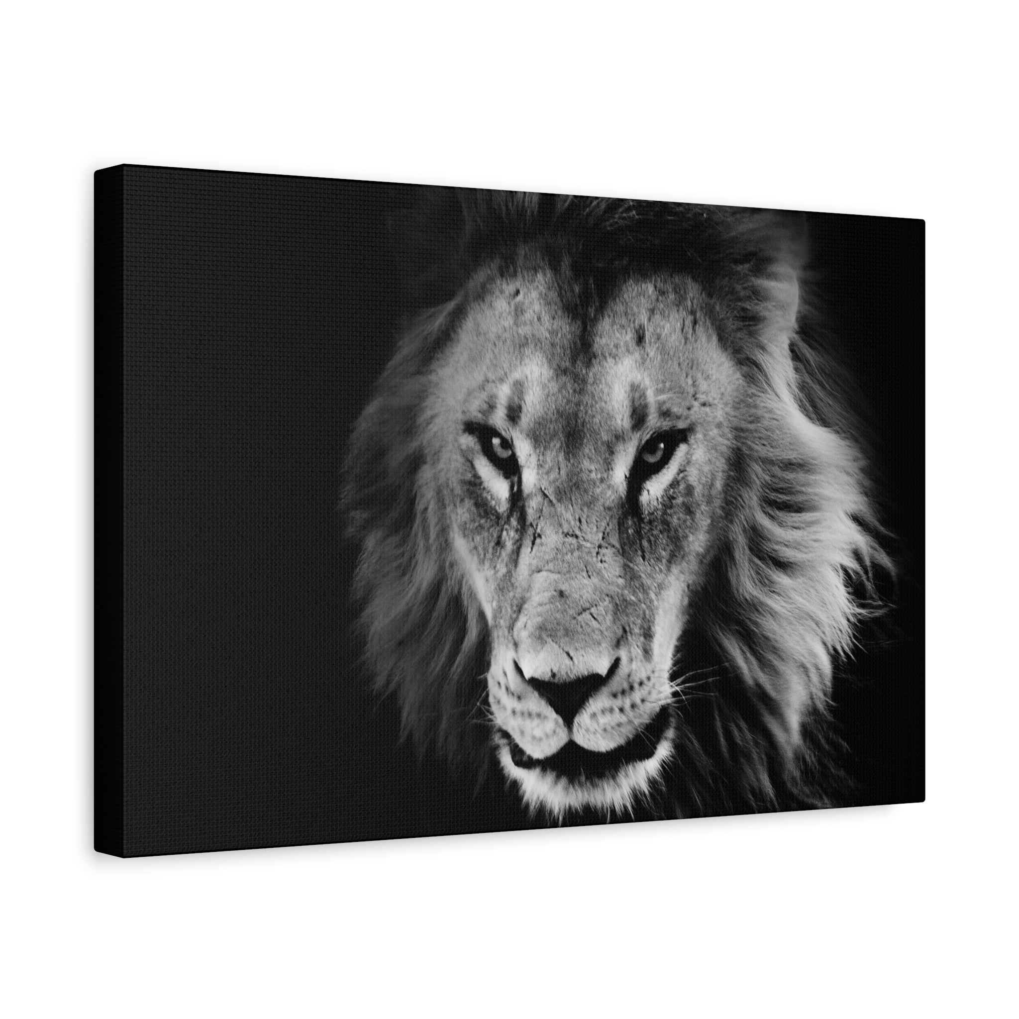 canvas-print-lion-wall-art-black-and-white-living-room-decor-matte-stretched-lion-poster-jungle-animal-art-print-wildlife-saf