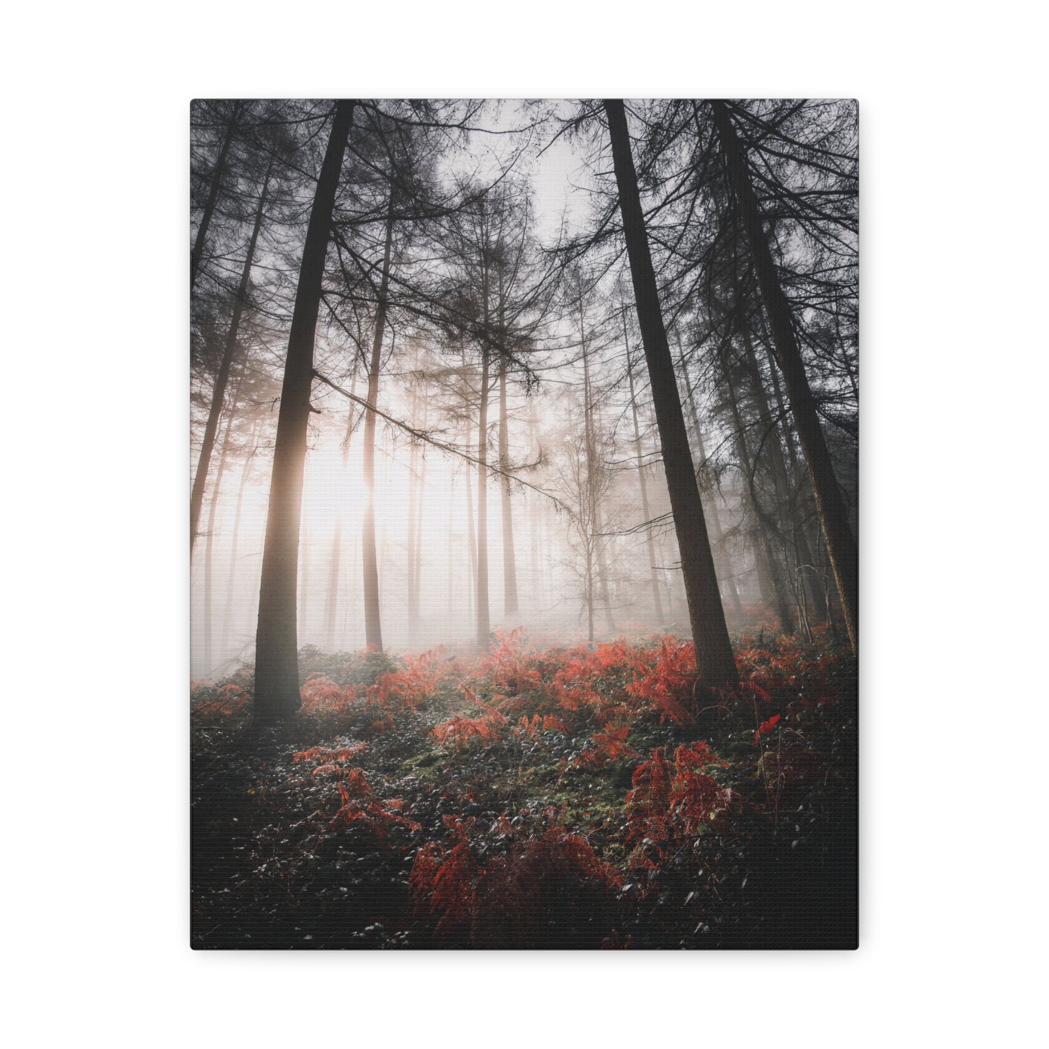 canvas-print-misty-woods-art-living-room-wall-decor-sunlight-forest-landscape-aesthetic-nature-art-stretched-artwork-matte-ca