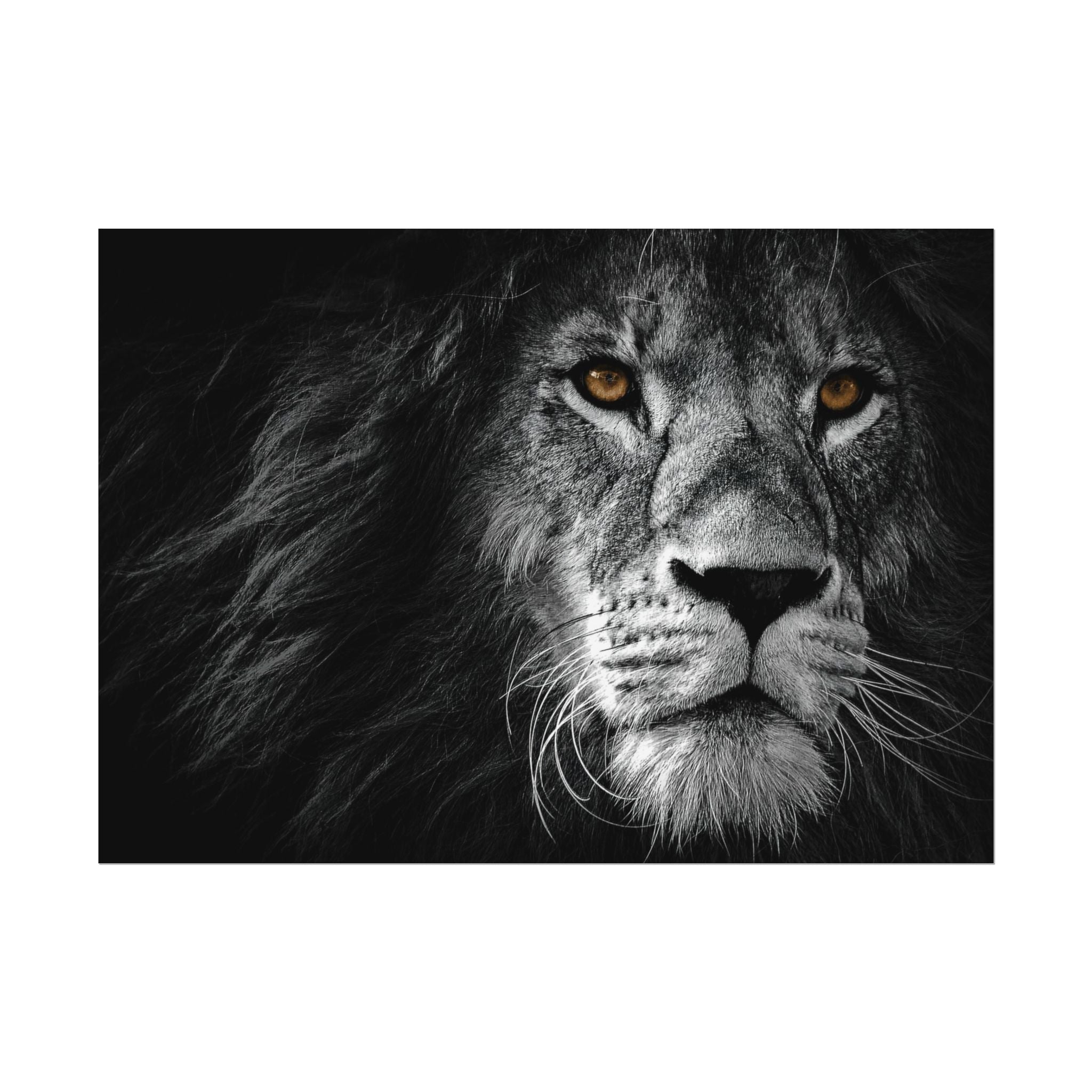 poster-print-lion-wall-art-black-and-white-monochrome-decor-living-room-decor-lion-poster-jungle-animal-art-print-wildlife-sa