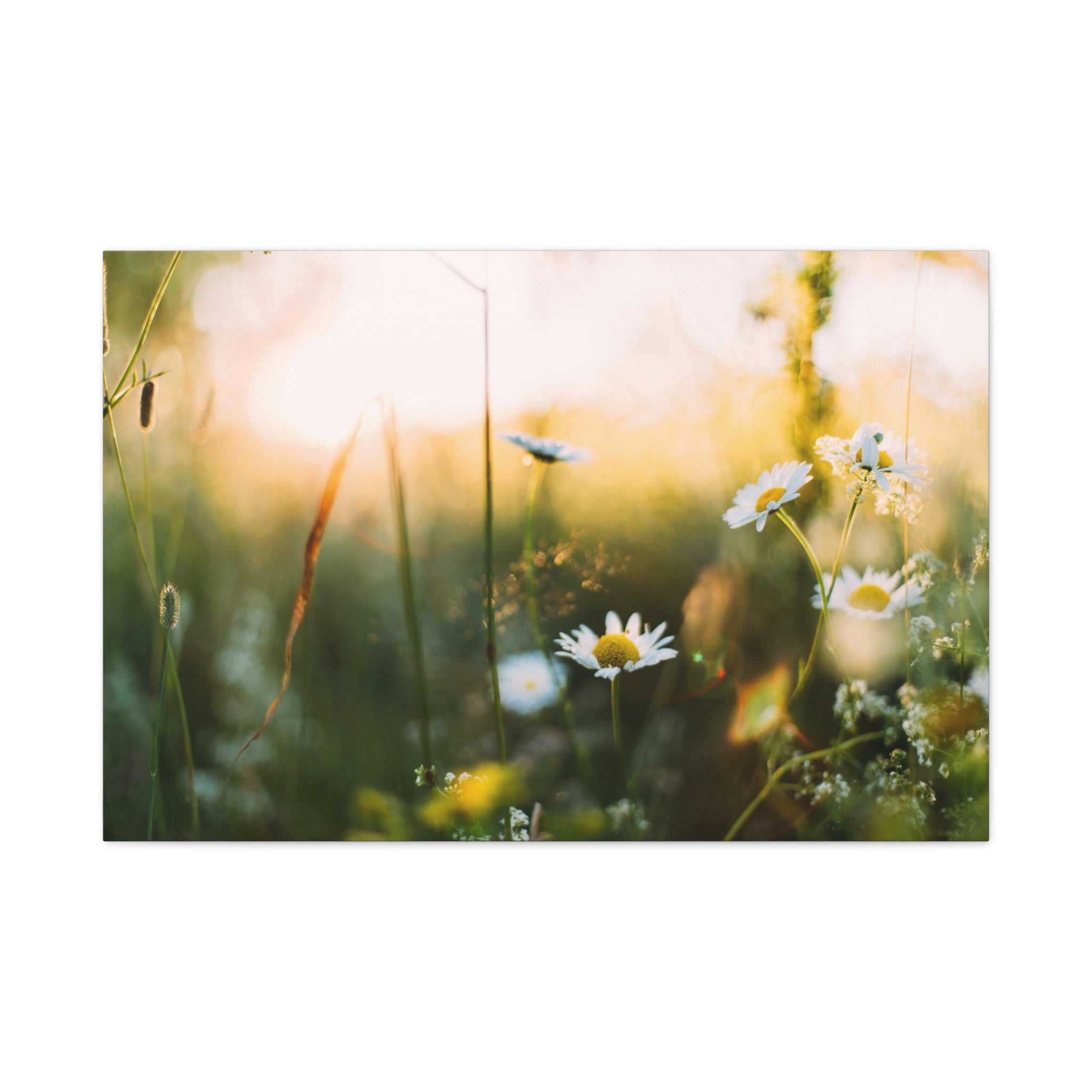 canvas-print-spring-flowers-wall-art-floral-home-decor-matte-canvas-print-stretched-canvas-art-1-25-canvas-artwork-botanical-