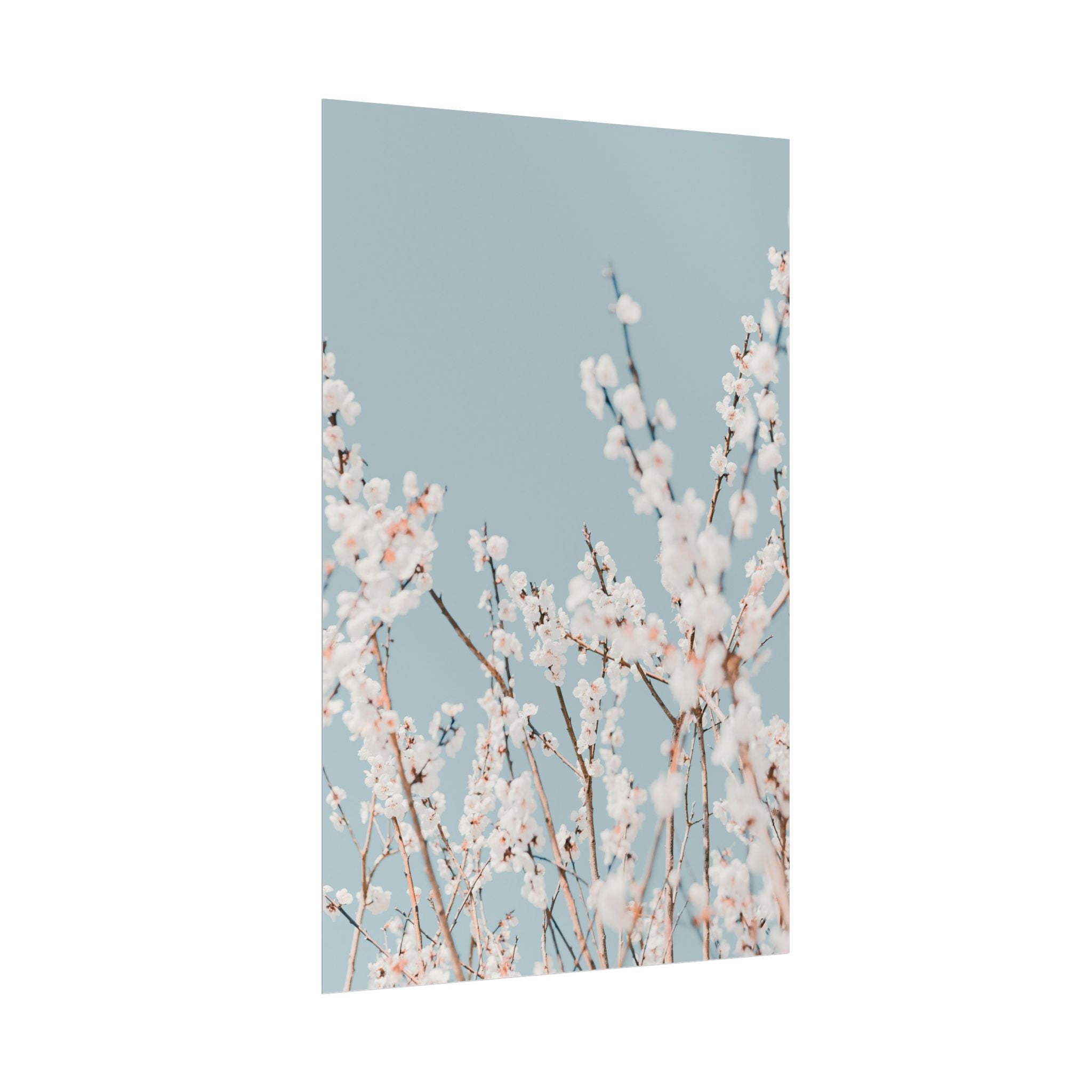 blossom-flowers-poster-print-minimalist-aesthetic-wall-art-fine-art-paper-home-decor-floral-decor-elegant-artwork