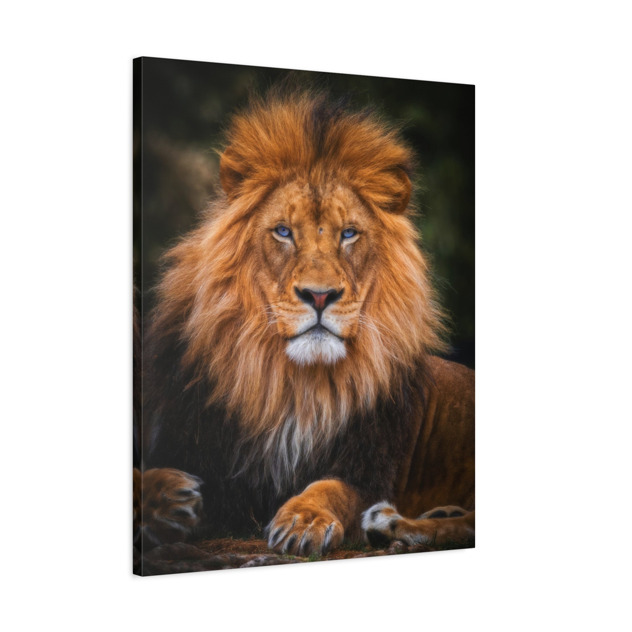 canvas-print-blue-eyed-lion-wall-art-wildlife-home-decor-animal-lover-gift-safari-nursery-decoration-wildlife-art-print-lion-
