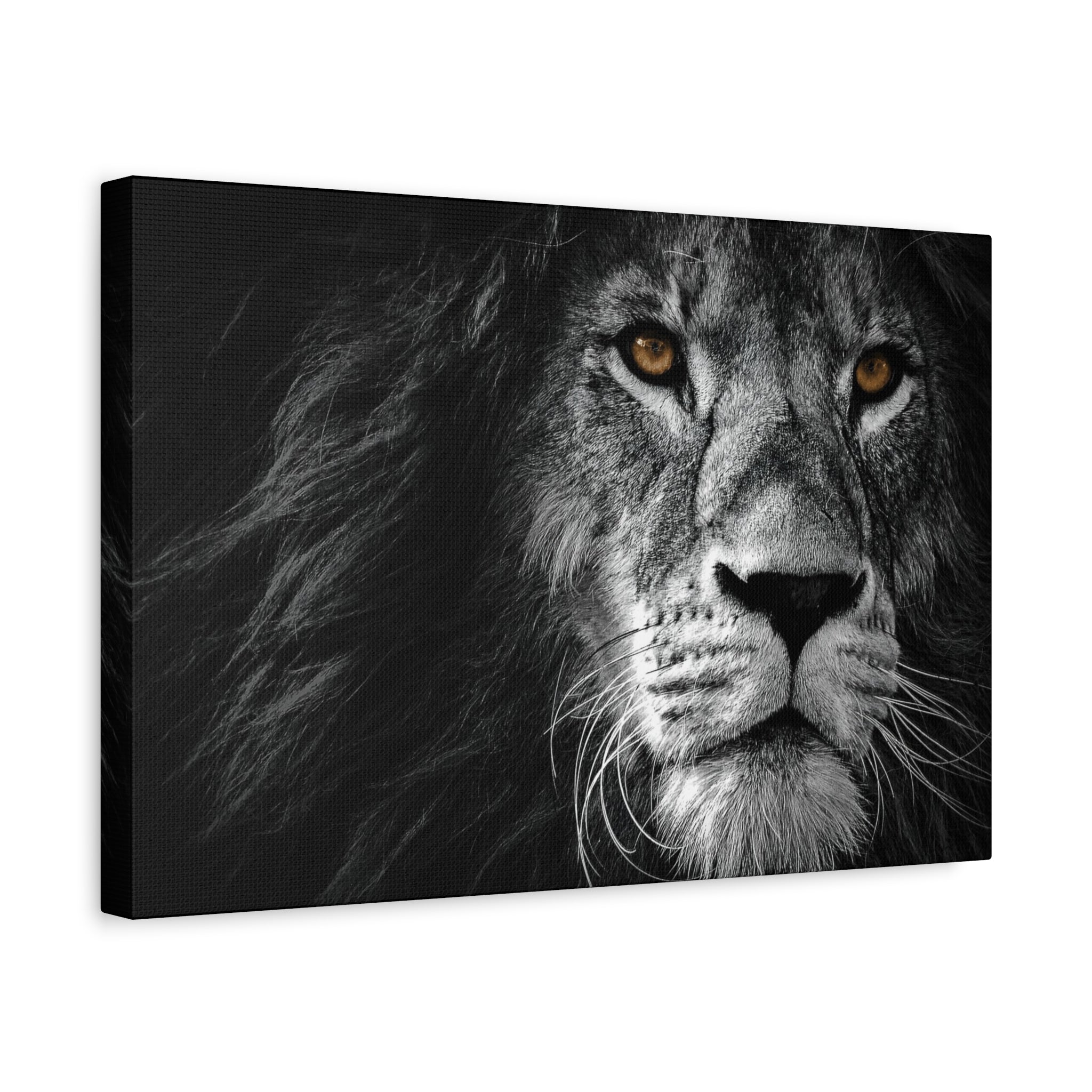 canvas-print-lion-wall-art-black-and-white-living-room-decor-matte-stretched-lion-poster-jungle-animal-art-print-wildlife-saf