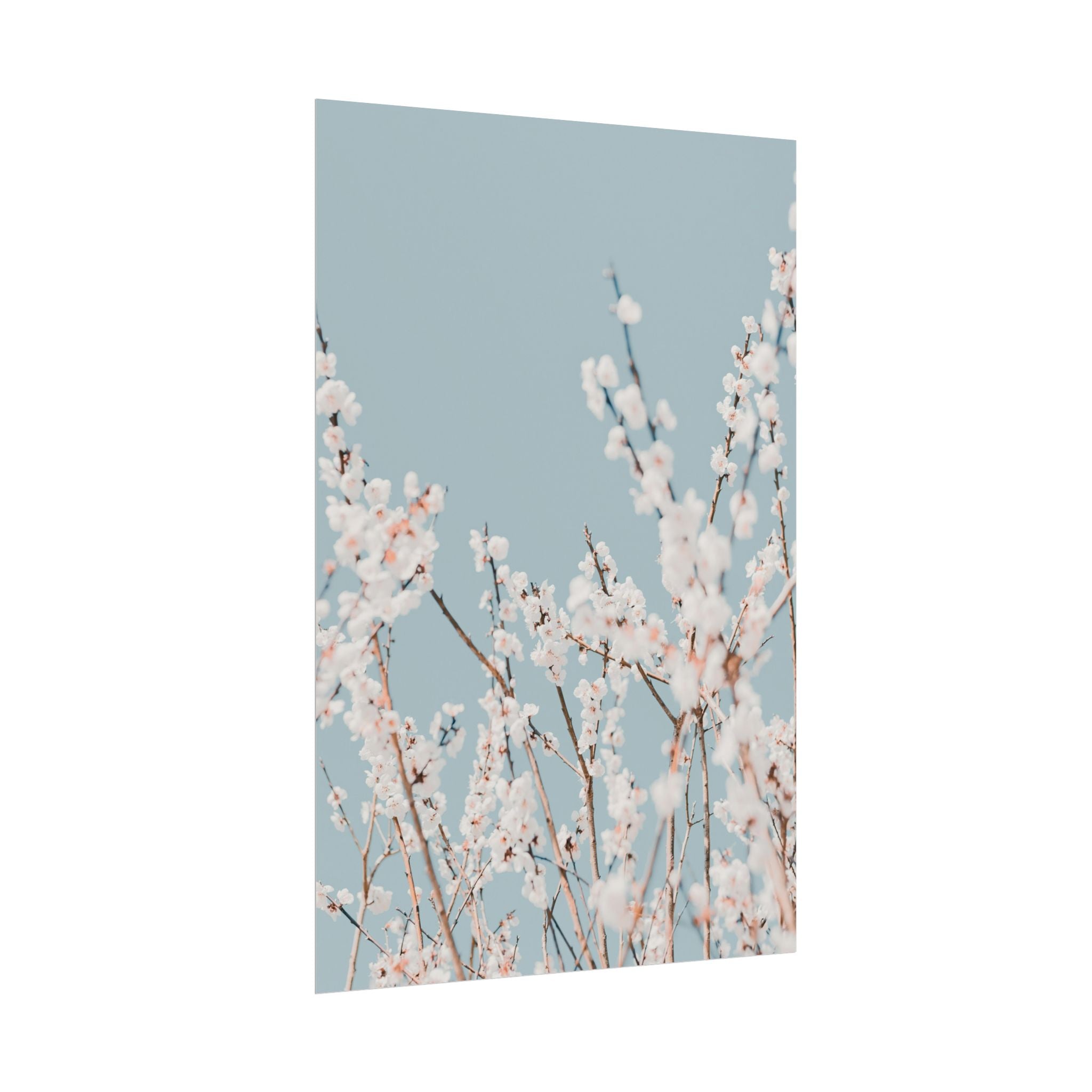 blossom-flowers-poster-print-minimalist-aesthetic-wall-art-fine-art-paper-home-decor-floral-decor-elegant-artwork