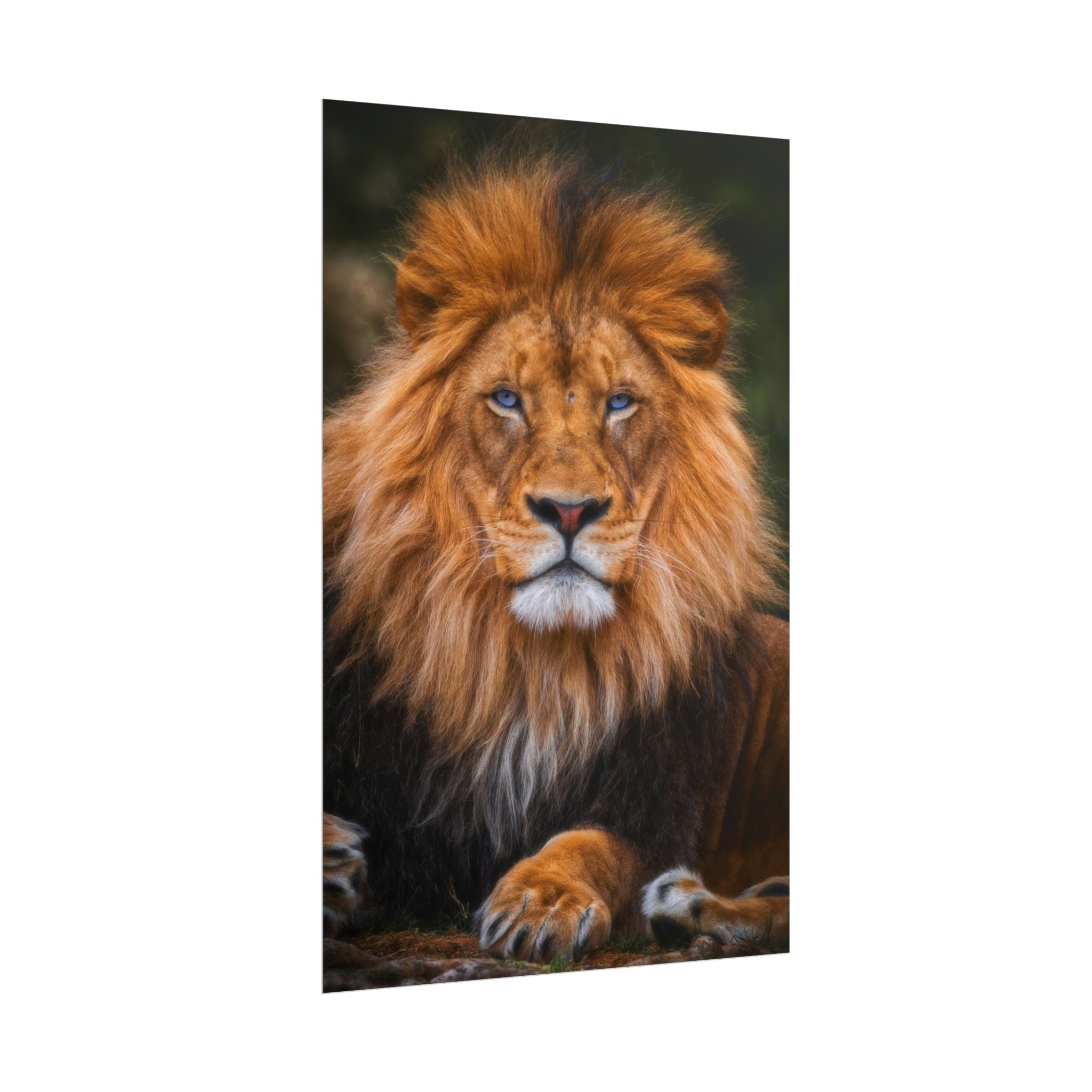 blue-eyed-lion-poster-wall-art-wildlife-home-decor-animal-lover-gift-safari-decoration-wildlife-art-print-lion-wall-decor