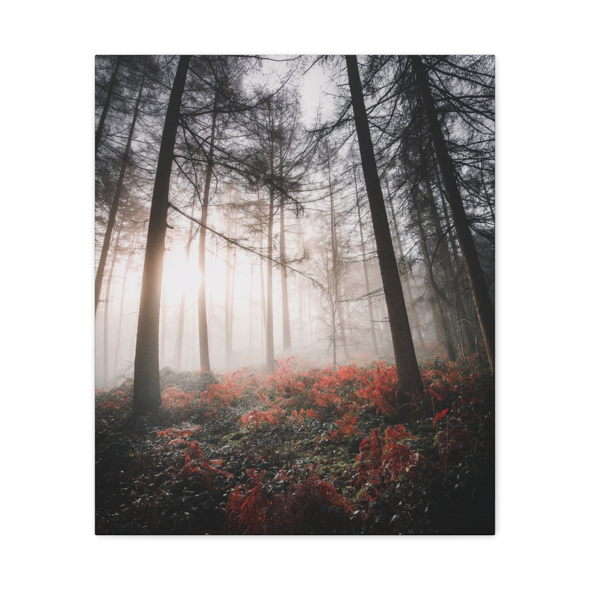 canvas-print-misty-woods-art-living-room-wall-decor-sunlight-forest-landscape-aesthetic-nature-art-stretched-artwork-matte-ca