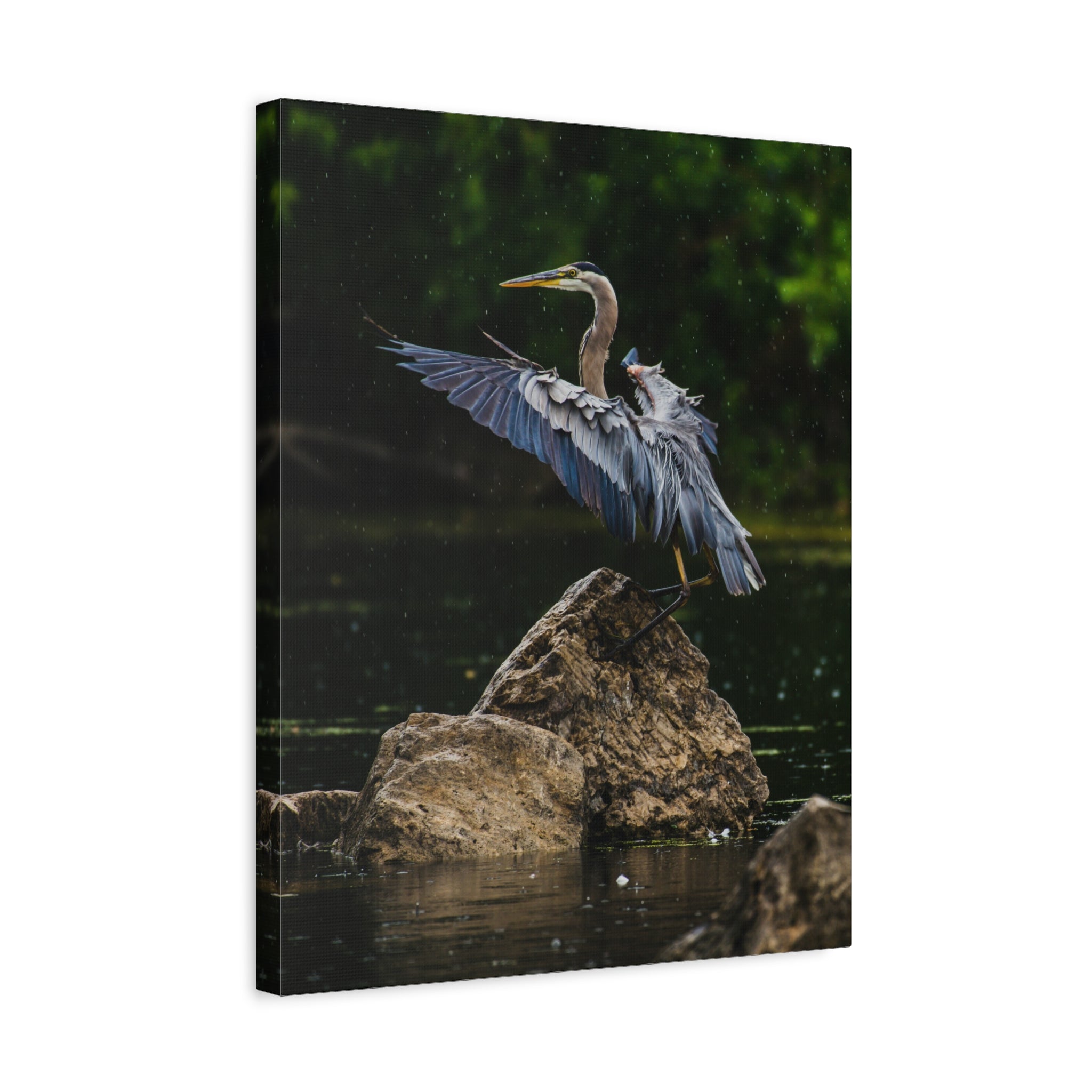 canvas-print-wall-art-great-blue-heron-matte-canvas-stretched-home-decor-bird-lover-gift-nature-wall-hanging-wildlife