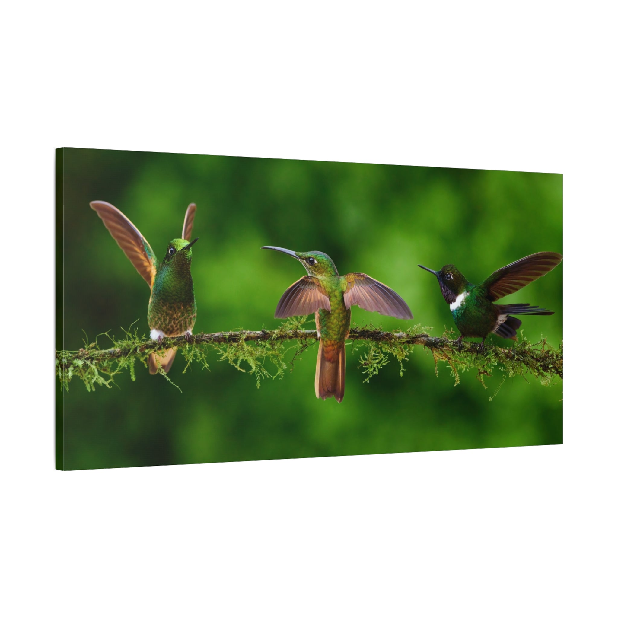 canvas-print-hummingbirds-canvas-wall-art-matte-canvas-stretched-home-decor-wall-decor-nature-art-gift-for-bird-lovers-panora