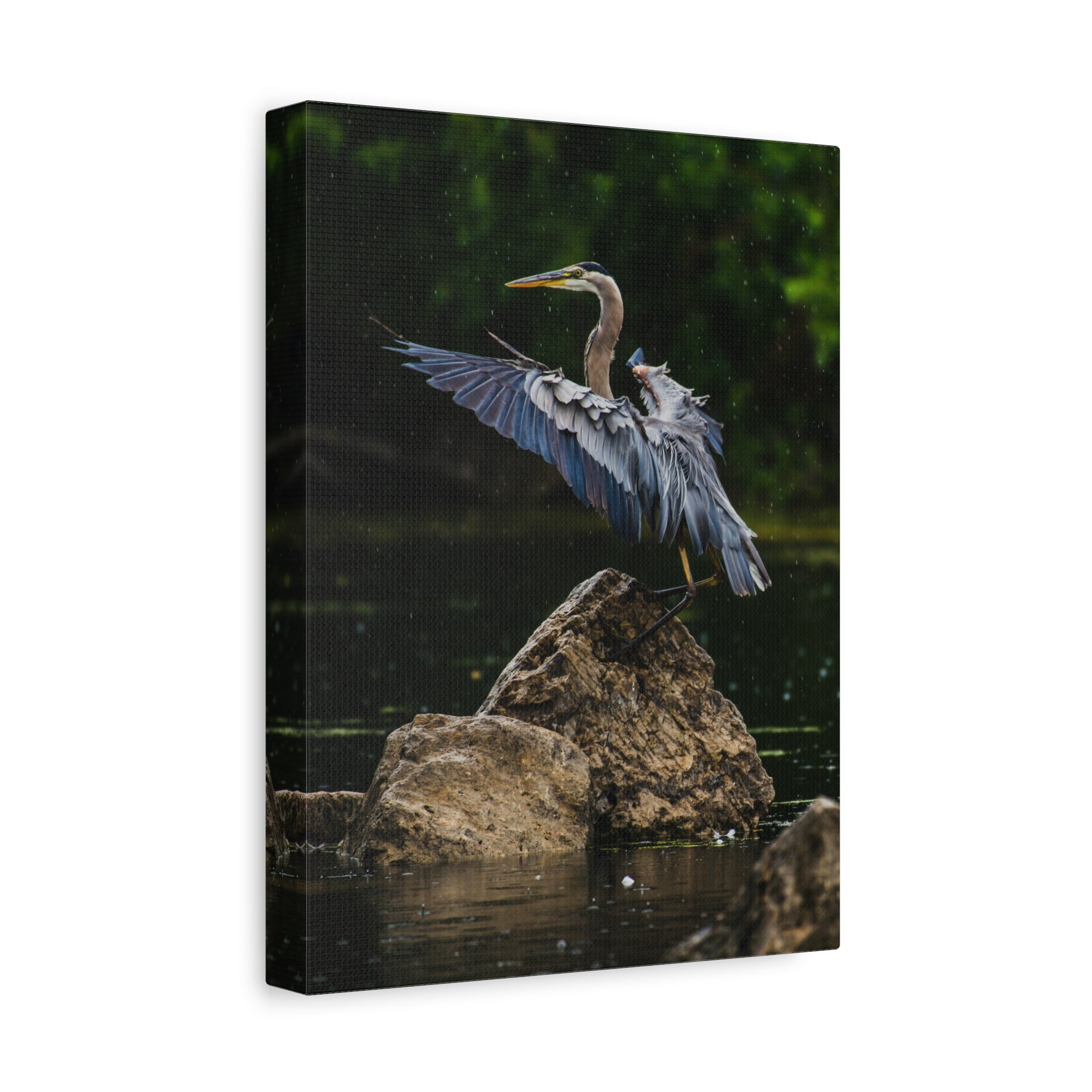 canvas-print-wall-art-great-blue-heron-matte-canvas-stretched-home-decor-bird-lover-gift-nature-wall-hanging-wildlife