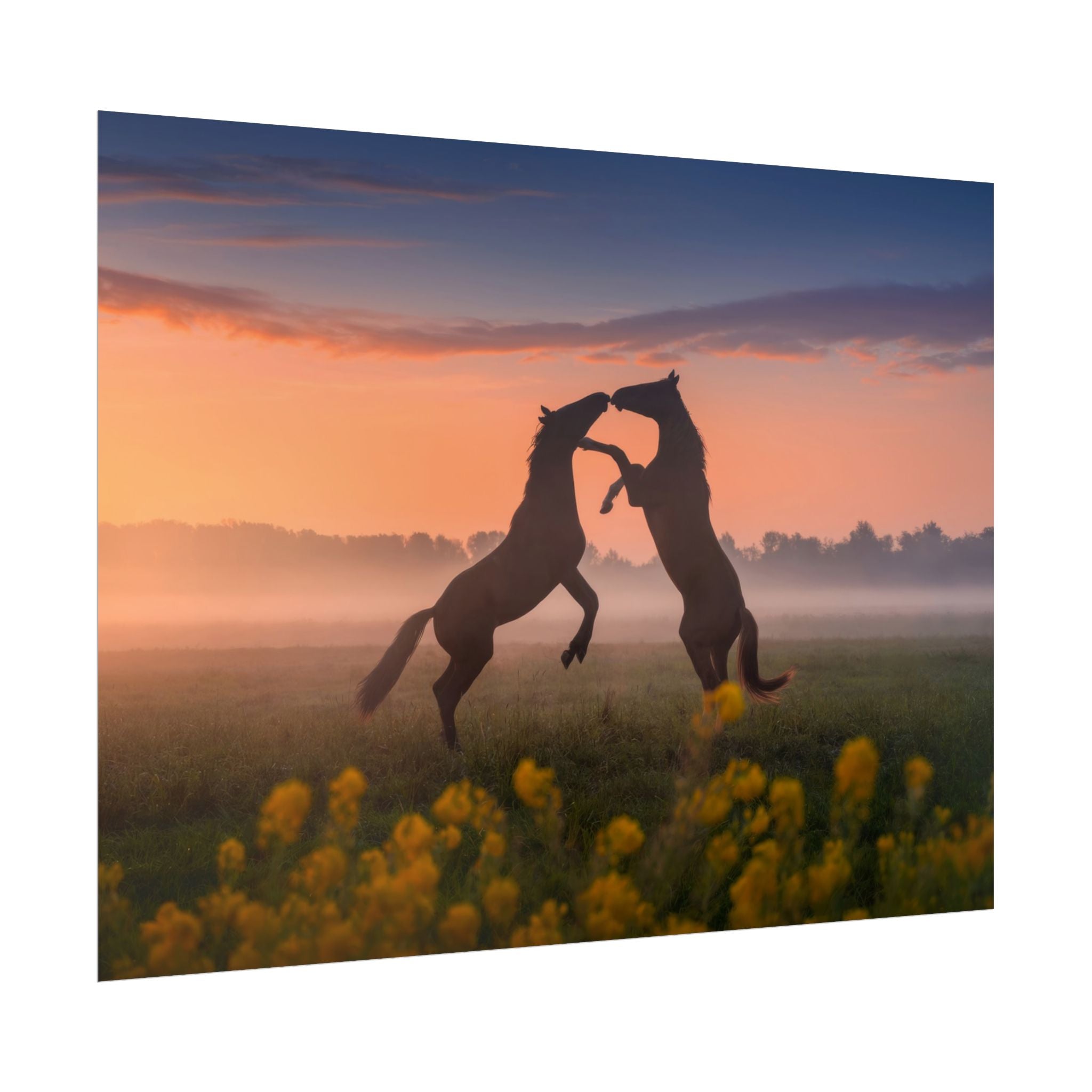 wild-rising-horses-poster-print-field-of-flowers-decor-home-decor-farmhouse-wall-decor-nature-wall-art-horse-Poster-print-mus