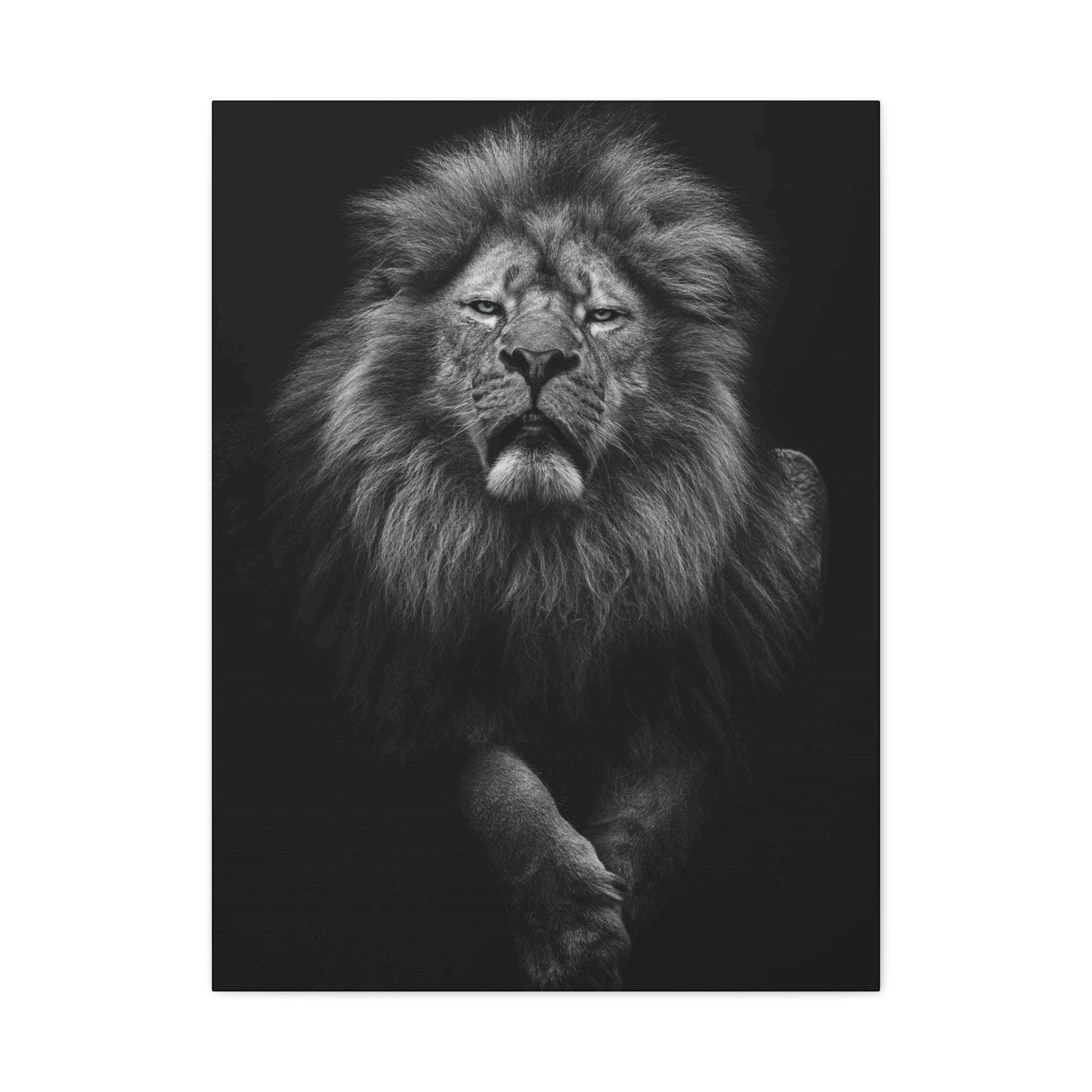 canvas-print-lion-wall-art-black-and-white-living-room-decor-matte-stretched-lion-poster-jungle-animal-art-print-wildlife-saf