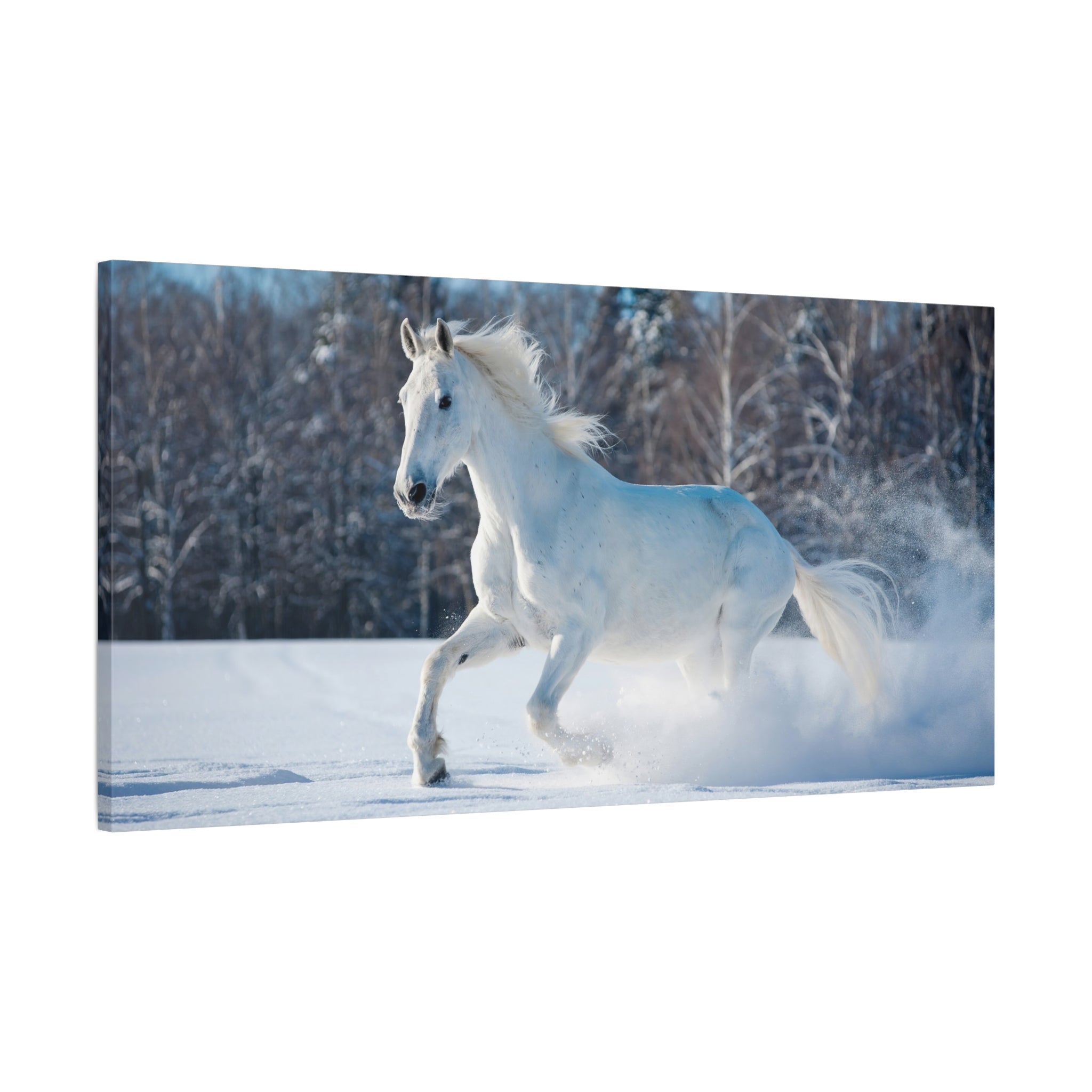 canvas-print-white-horse-winter-wall-art-home-decor-nature-decor-matte-stretched-canvas-alternative-horse-wall-decor-wildlife