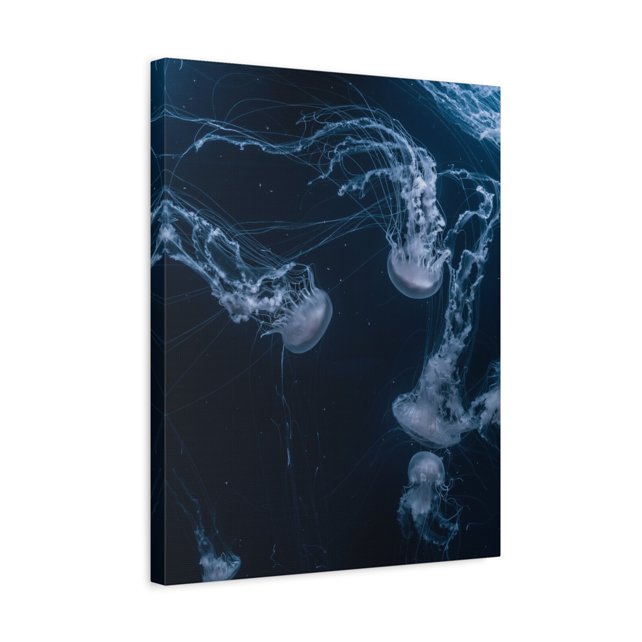 canvas-print-jellyfish-wall-art-wall-hanging-matte-canvas-ocean-life-deep-ocean-decor-home-decor-housewarming-gift