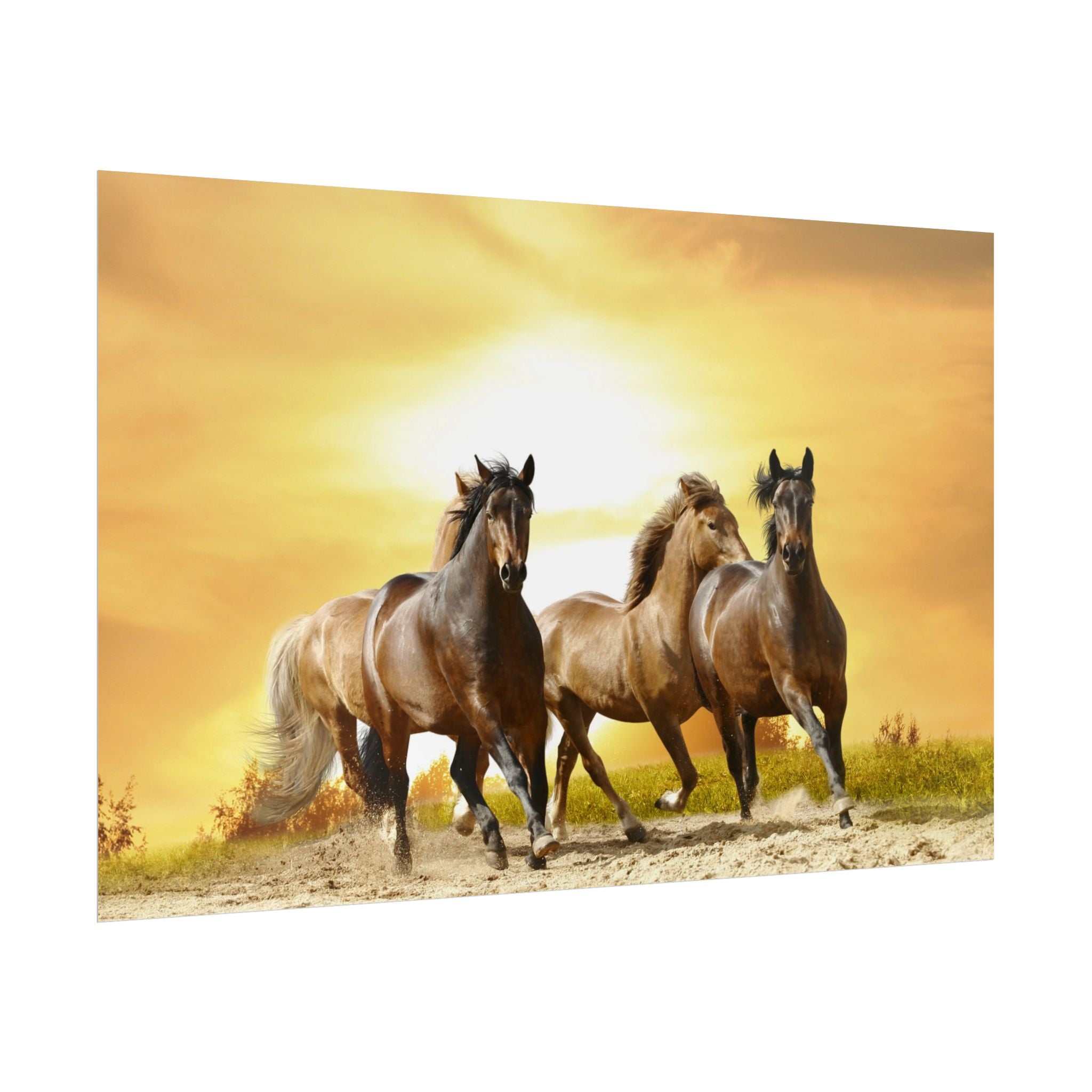 running-horse-poster-wall-art-farmhouse-wall-decor-home-decor-housewarming-gift-horse-print-wall-print-wild-animals