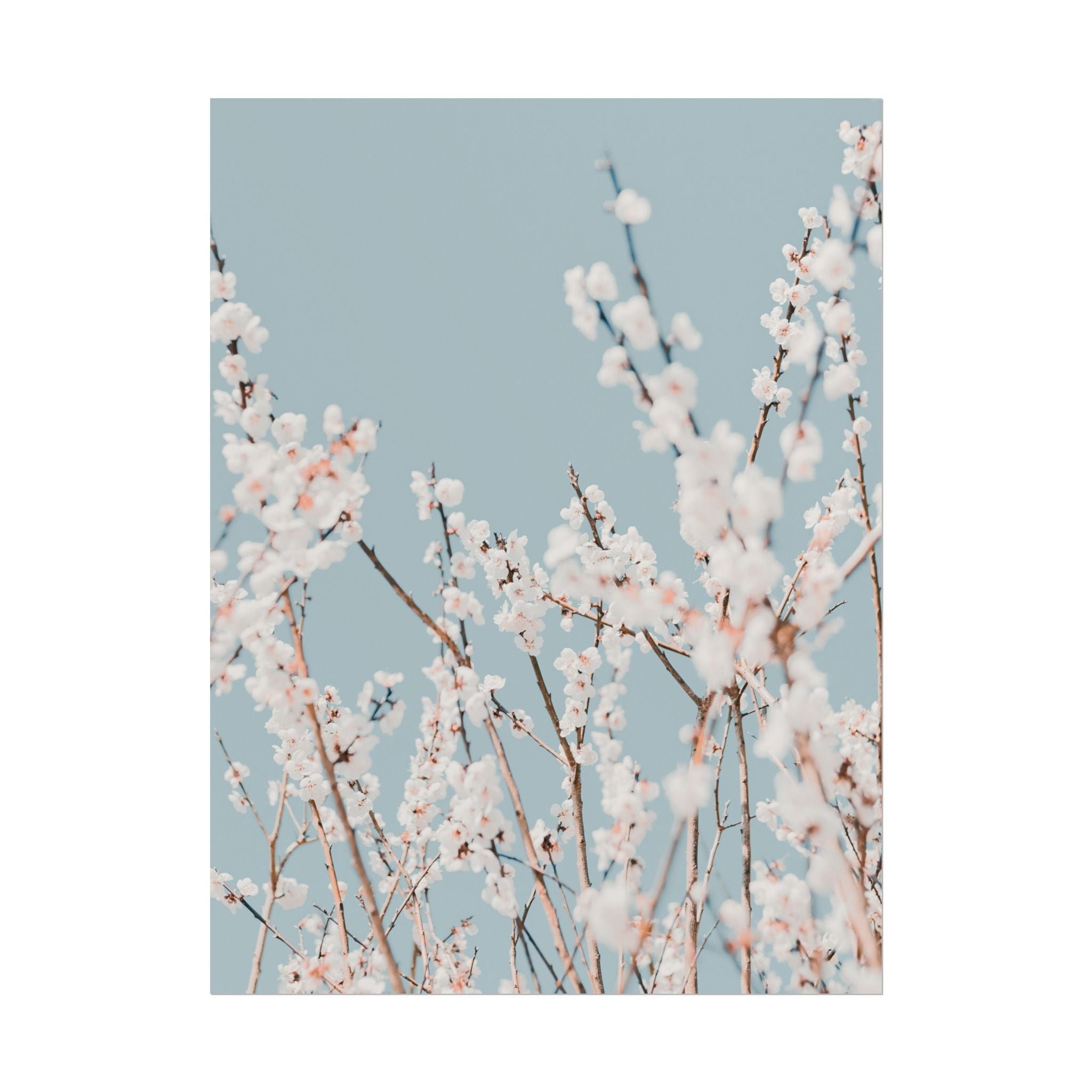 blossom-flowers-poster-print-minimalist-aesthetic-wall-art-fine-art-paper-home-decor-floral-decor-elegant-artwork