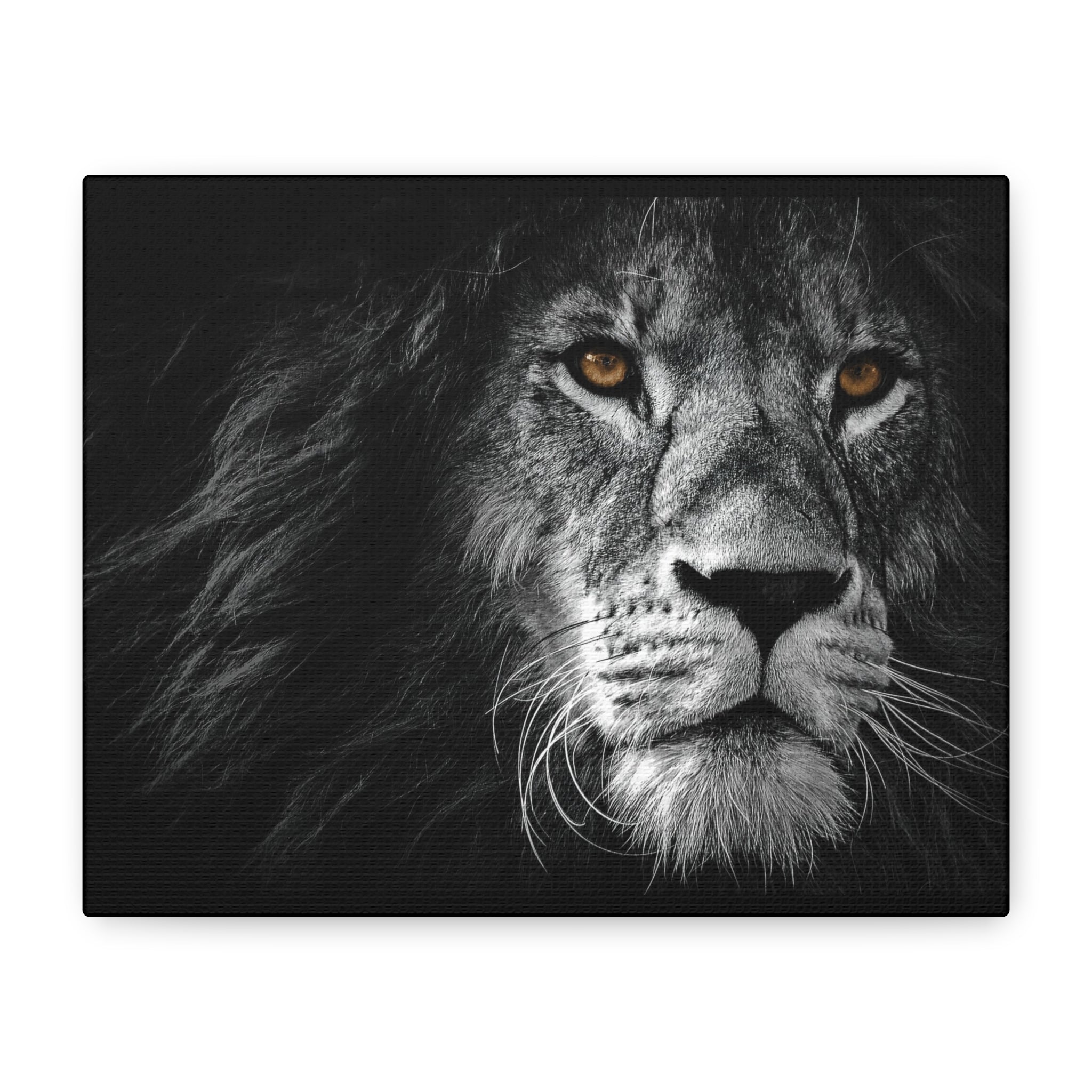 canvas-print-lion-wall-art-black-and-white-living-room-decor-matte-stretched-lion-poster-jungle-animal-art-print-wildlife-saf