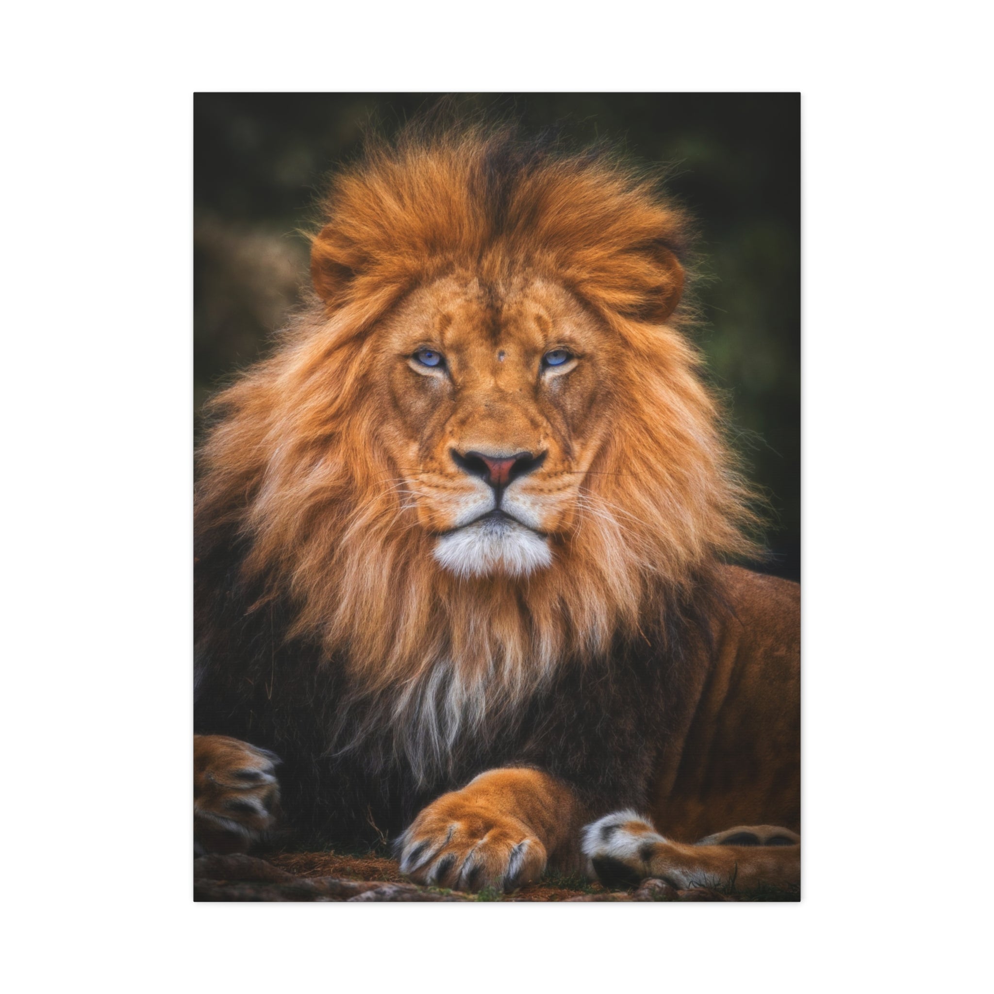 canvas-print-blue-eyed-lion-wall-art-wildlife-home-decor-animal-lover-gift-safari-nursery-decoration-wildlife-art-print-lion-