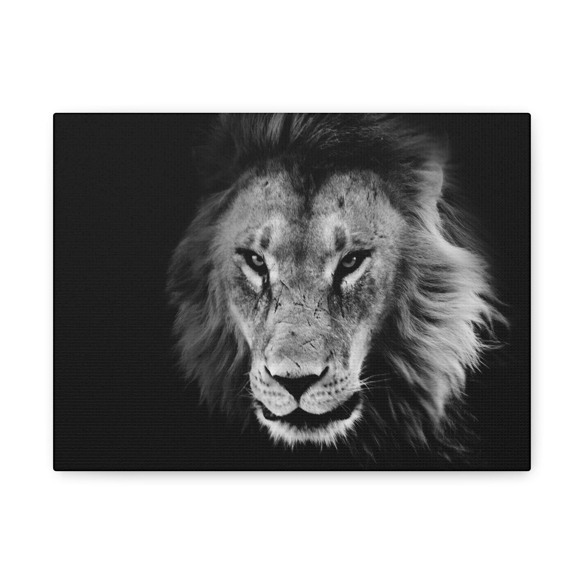 Lion Canvas Wall Art, Black and White Living Room Decor, Matte Stretched, Lion Poster, Jungle Animal Art Print, Wildlife Safari