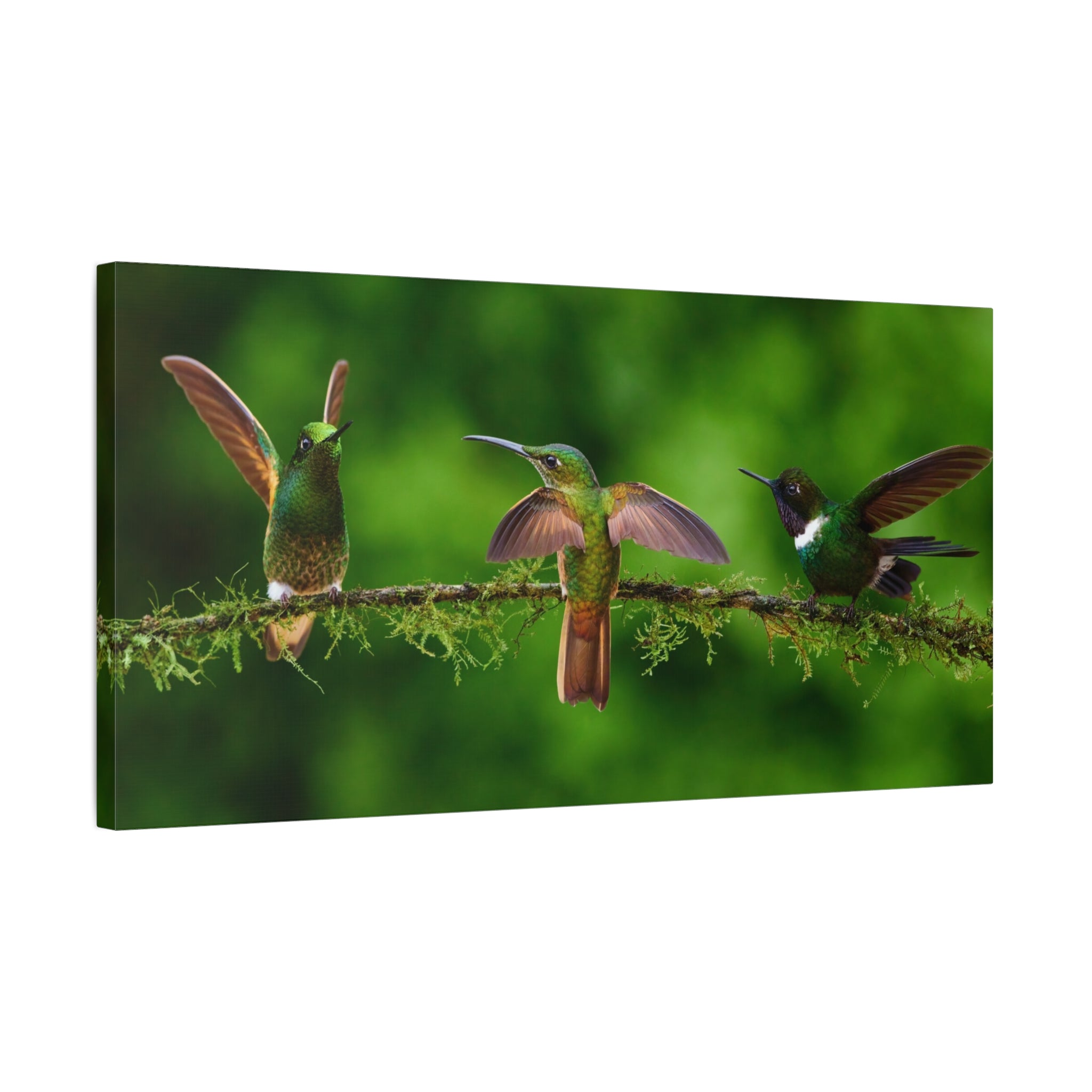 canvas-print-hummingbirds-canvas-wall-art-matte-canvas-stretched-home-decor-wall-decor-nature-art-gift-for-bird-lovers-panora