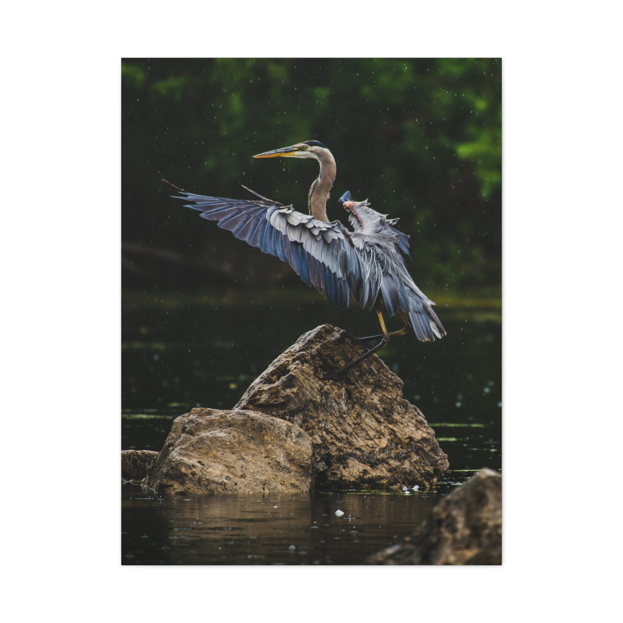 canvas-print-wall-art-great-blue-heron-matte-canvas-stretched-home-decor-bird-lover-gift-nature-wall-hanging-wildlife