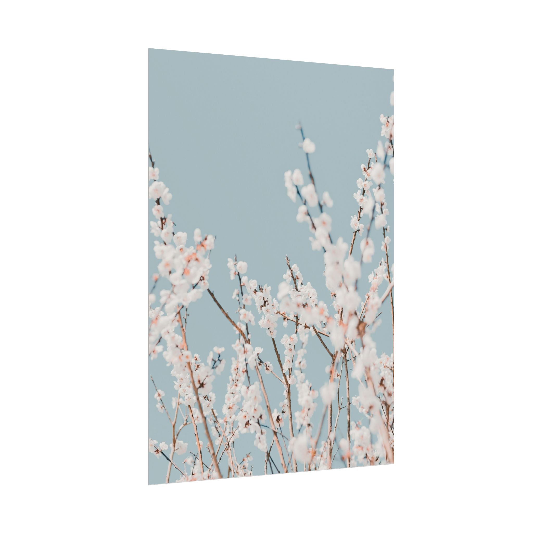 blossom-flowers-poster-print-minimalist-aesthetic-wall-art-fine-art-paper-home-decor-floral-decor-elegant-artwork