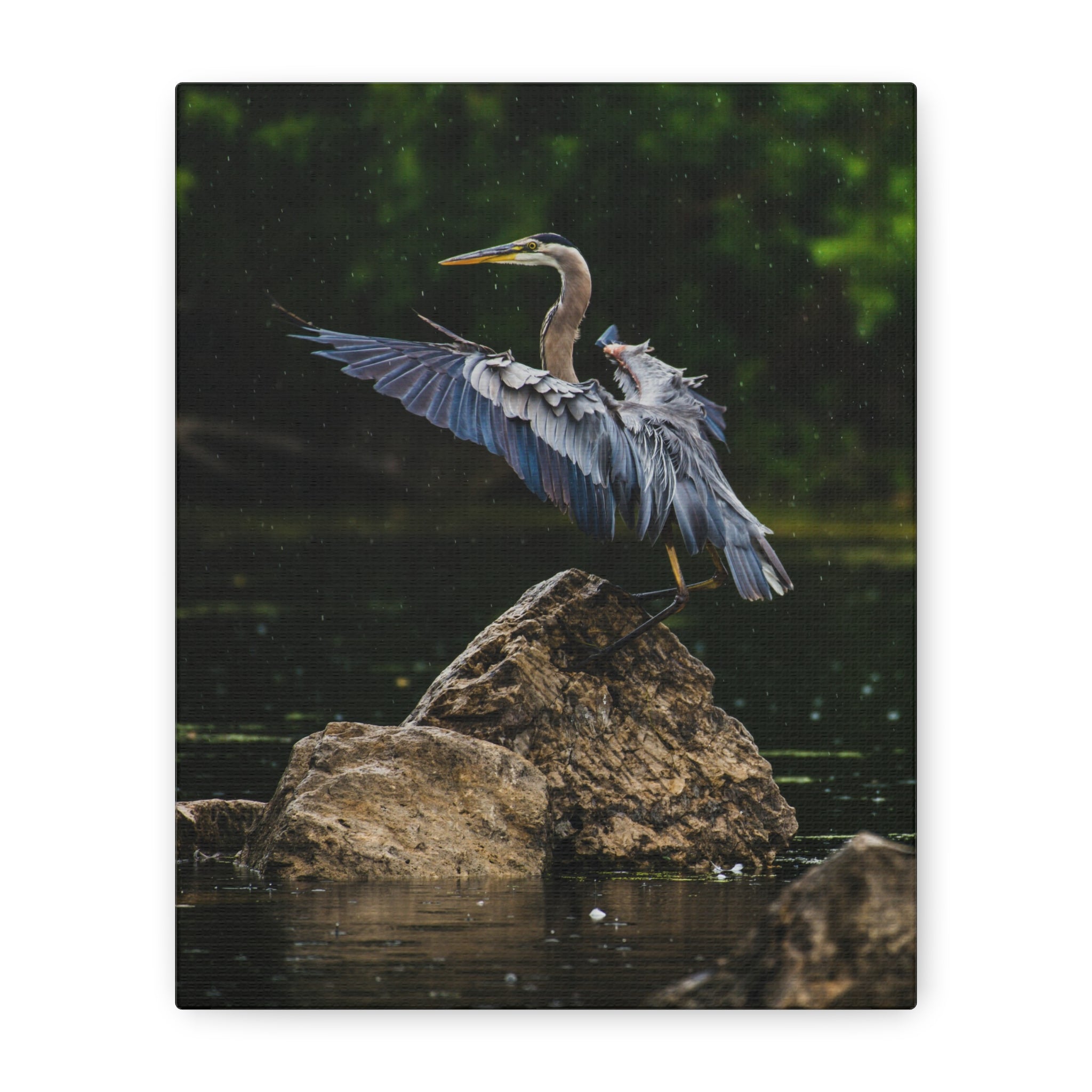 canvas-print-wall-art-great-blue-heron-matte-canvas-stretched-home-decor-bird-lover-gift-nature-wall-hanging-wildlife