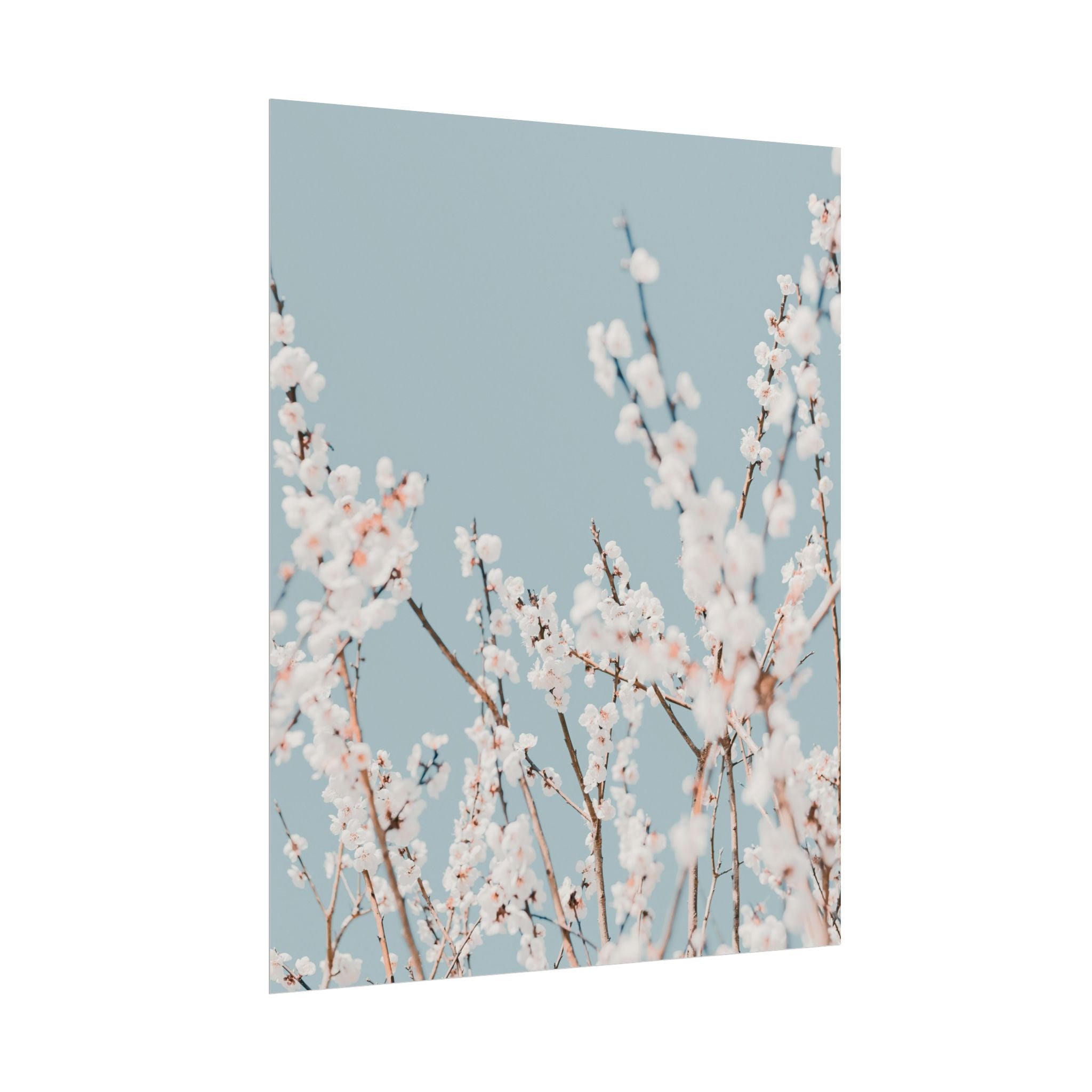 blossom-flowers-poster-print-minimalist-aesthetic-wall-art-fine-art-paper-home-decor-floral-decor-elegant-artwork