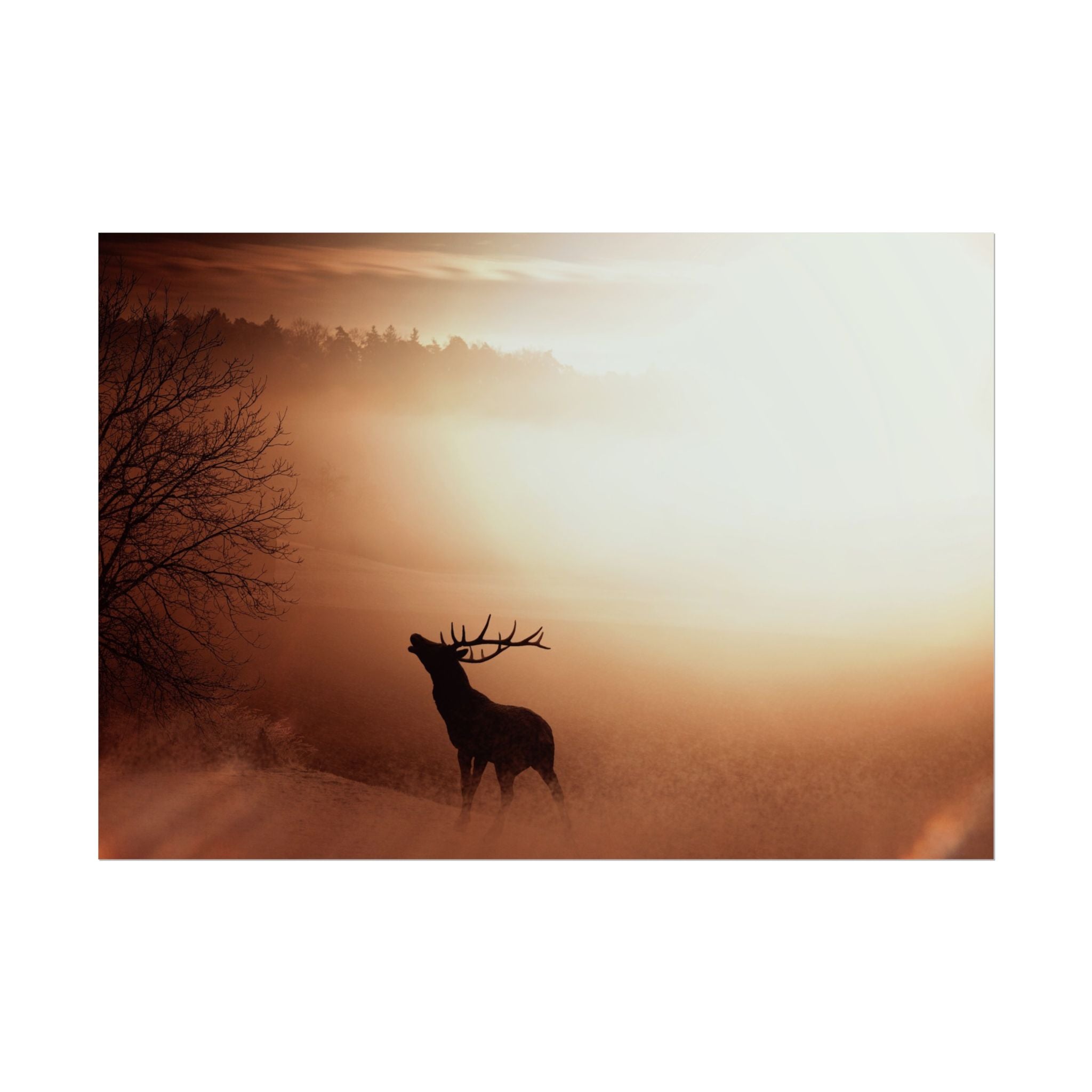 poster-print-elk-in-forest-sunset-scenery-nature-home-decor-animal-wall-art-wildlife-decor-farmhouse-wall-art-elk-prints-post