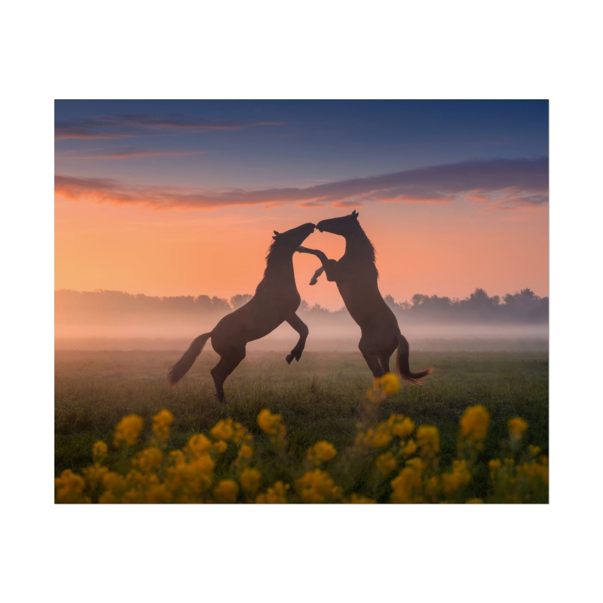 wild-rising-horses-poster-print-field-of-flowers-decor-home-decor-farmhouse-wall-decor-nature-wall-art-horse-Poster-print-mus