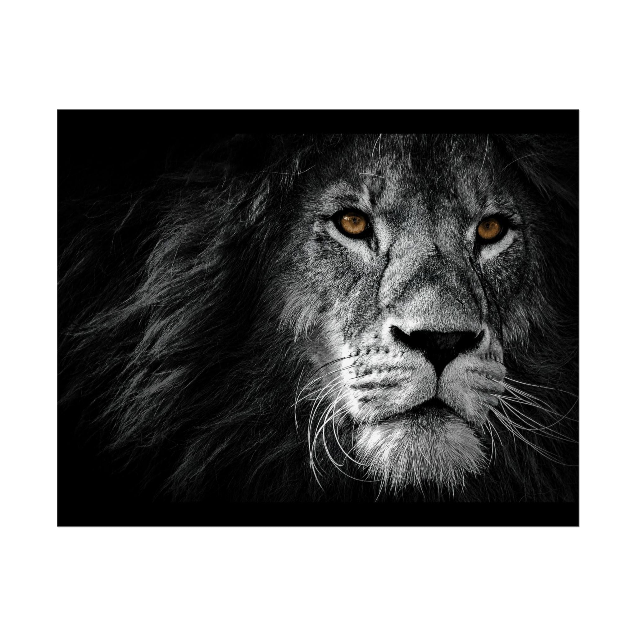 poster-print-lion-wall-art-black-and-white-monochrome-decor-living-room-decor-lion-poster-jungle-animal-art-print-wildlife-sa