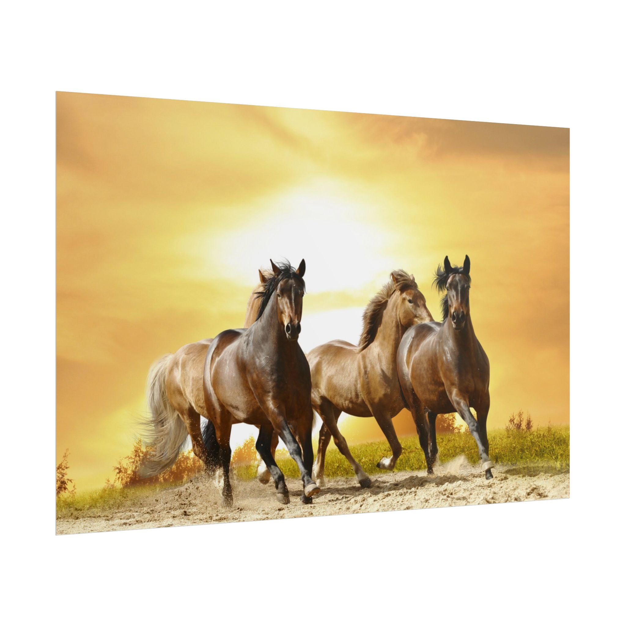 running-horse-poster-wall-art-farmhouse-wall-decor-home-decor-housewarming-gift-horse-print-wall-print-wild-animals