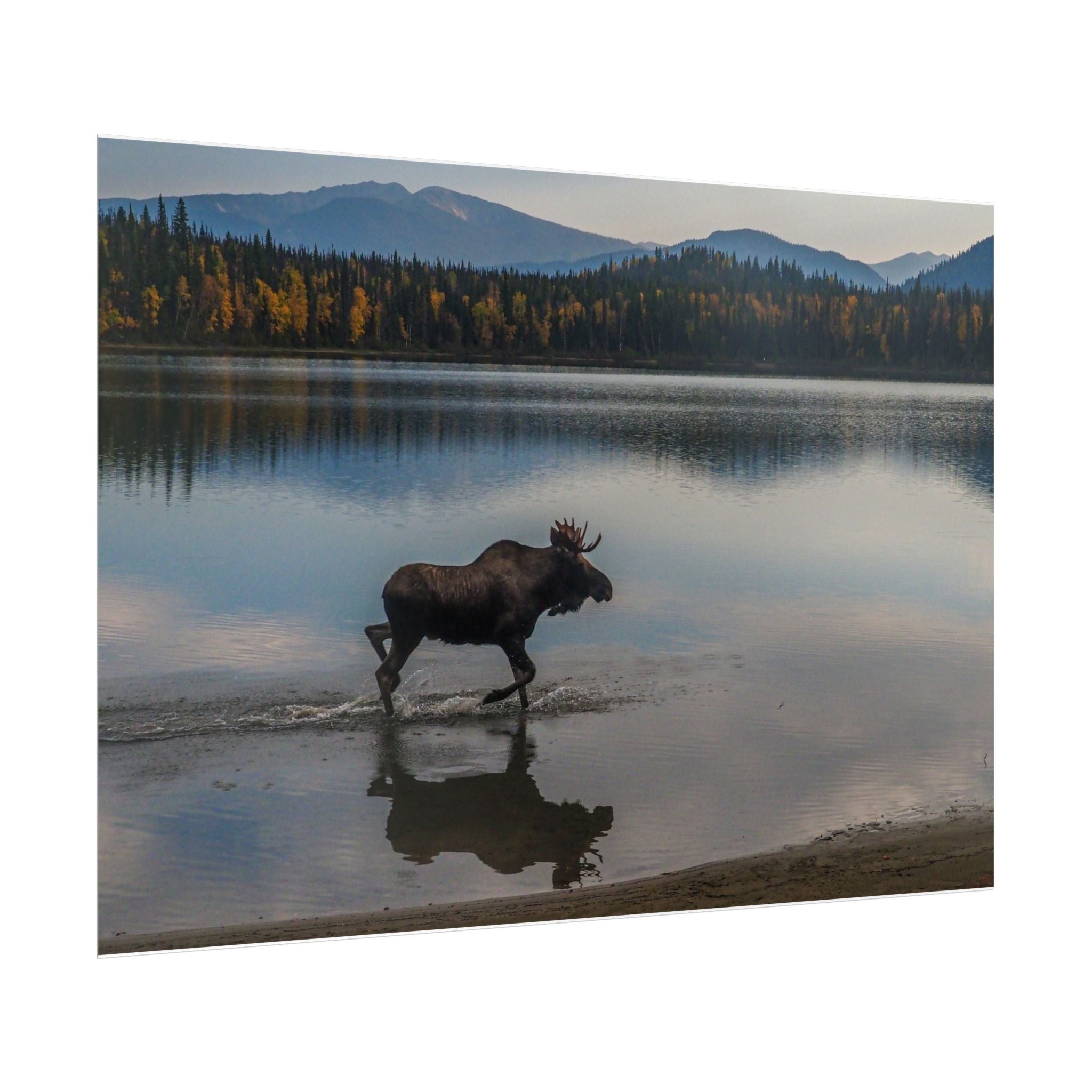 rustic-moose-poster-wall-decor-cabin-lodge-wildlife-painting-nature-home-decor-wilderness-animal-poster-farmhouse-wall-art