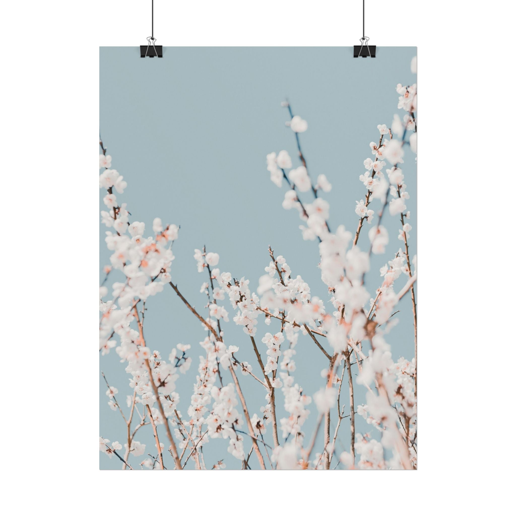 blossom-flowers-poster-print-minimalist-aesthetic-wall-art-fine-art-paper-home-decor-floral-decor-elegant-artwork