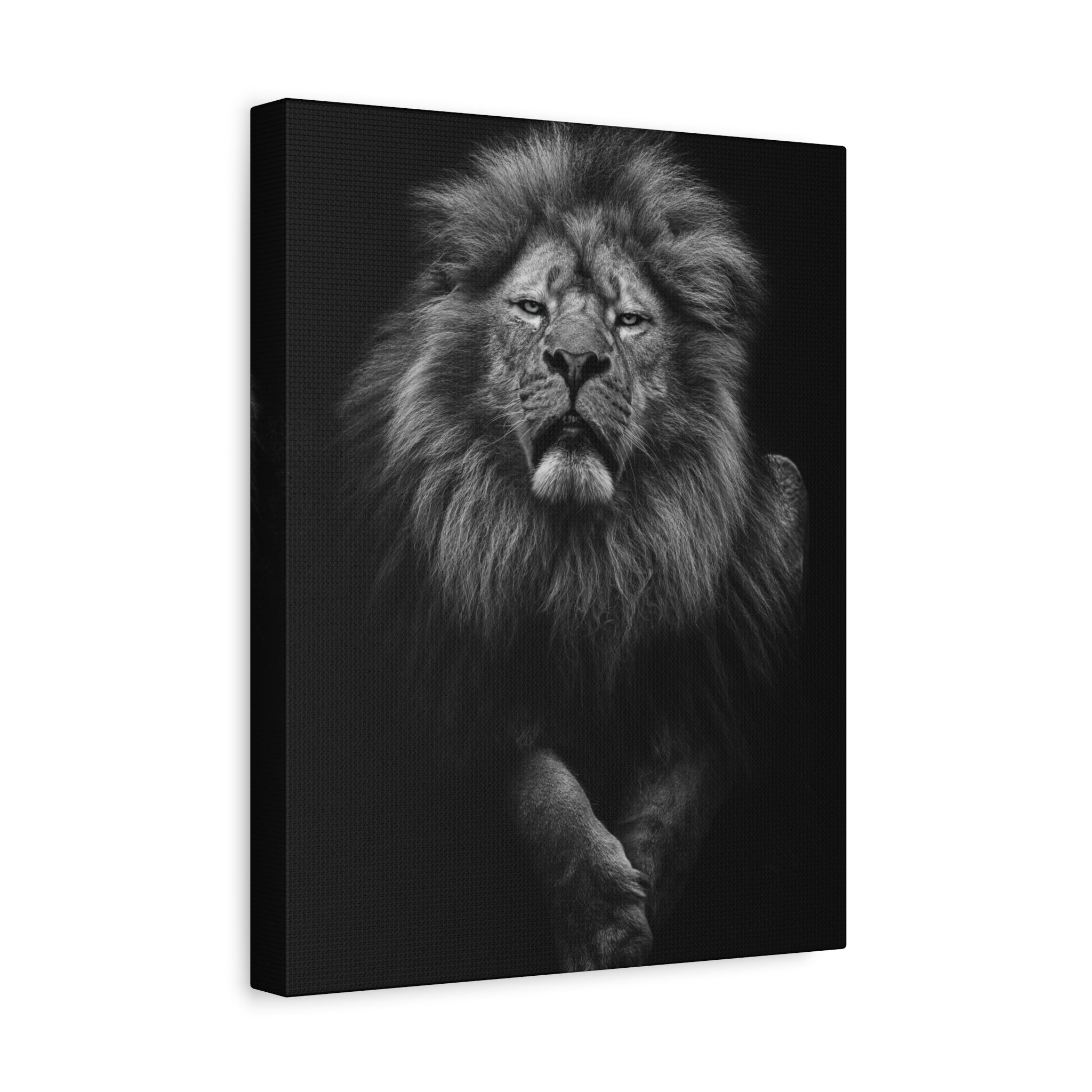 canvas-print-lion-wall-art-black-and-white-living-room-decor-matte-stretched-lion-poster-jungle-animal-art-print-wildlife-saf