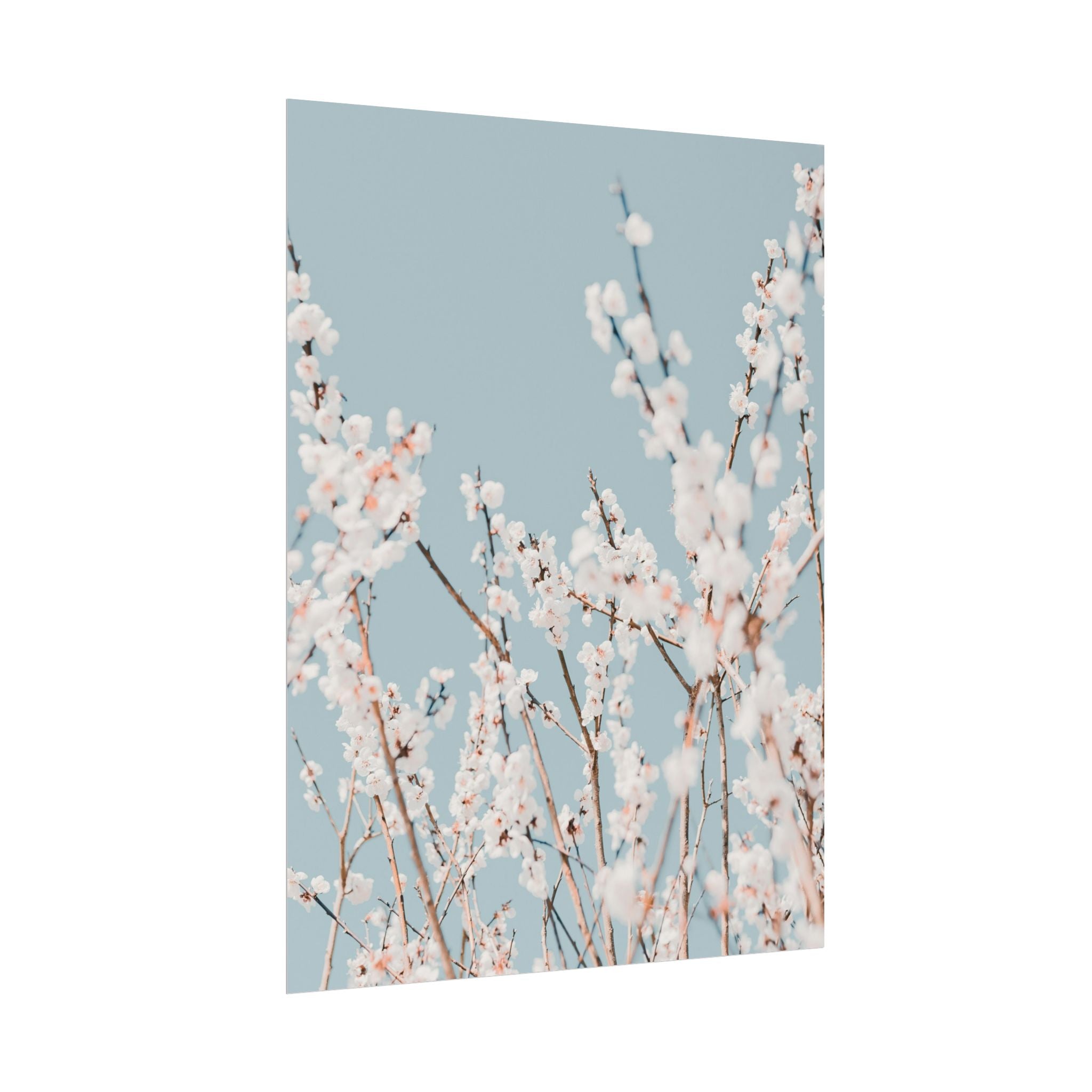 blossom-flowers-poster-print-minimalist-aesthetic-wall-art-fine-art-paper-home-decor-floral-decor-elegant-artwork
