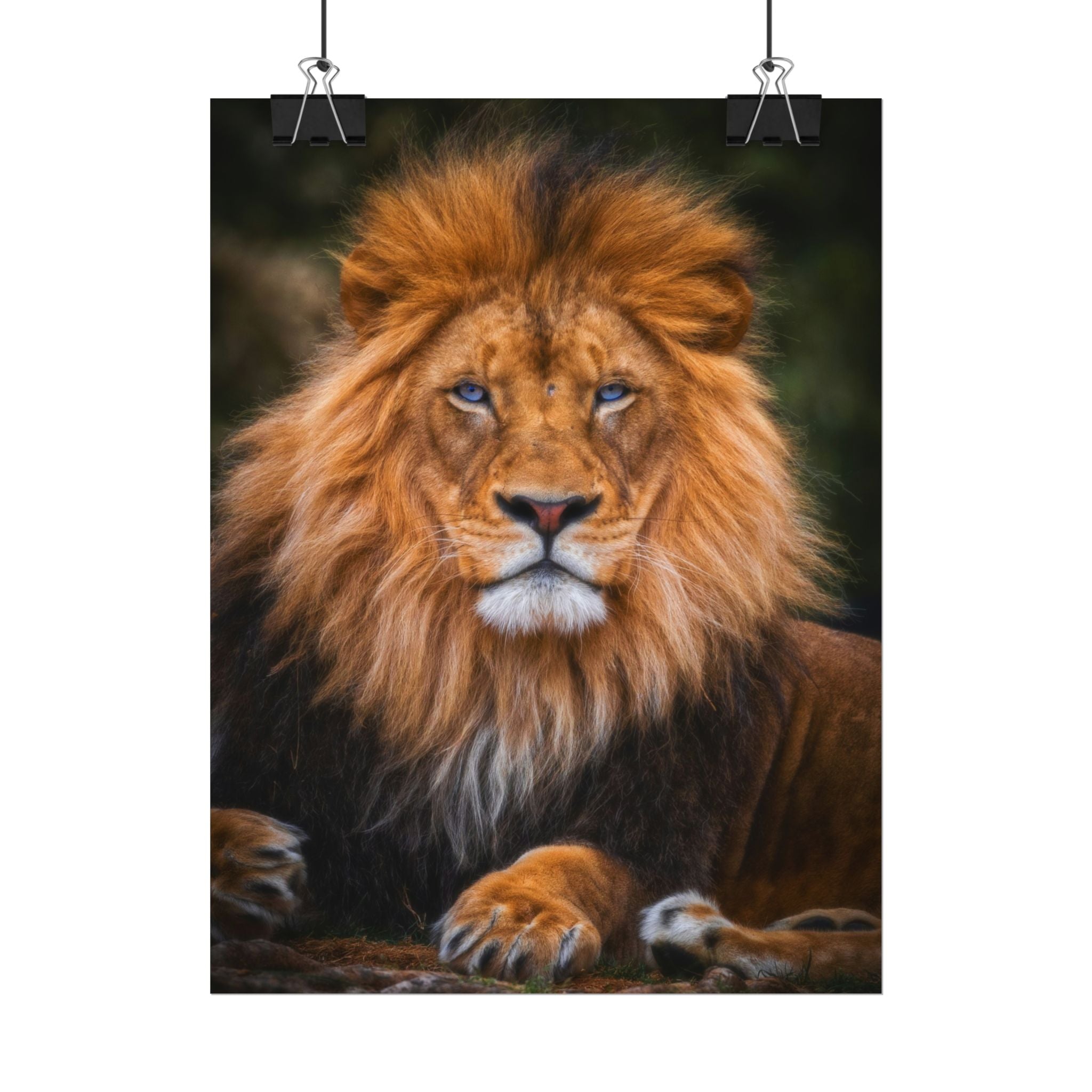 blue-eyed-lion-poster-wall-art-wildlife-home-decor-animal-lover-gift-safari-decoration-wildlife-art-print-lion-wall-decor