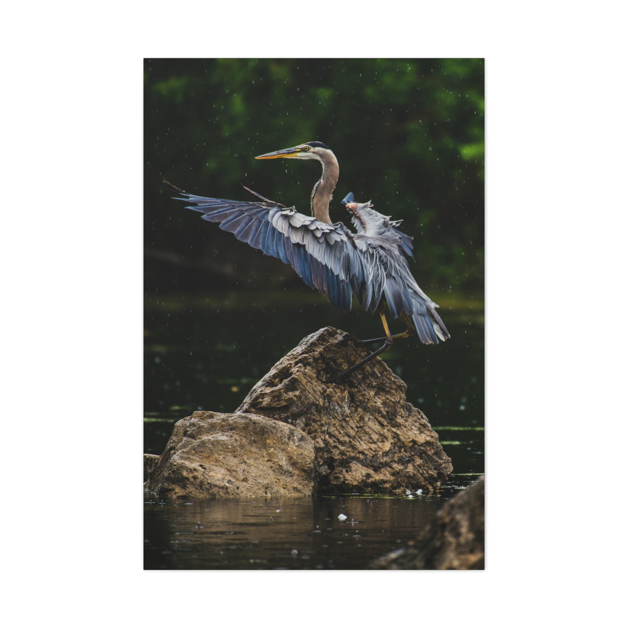 canvas-print-wall-art-great-blue-heron-matte-canvas-stretched-home-decor-bird-lover-gift-nature-wall-hanging-wildlife