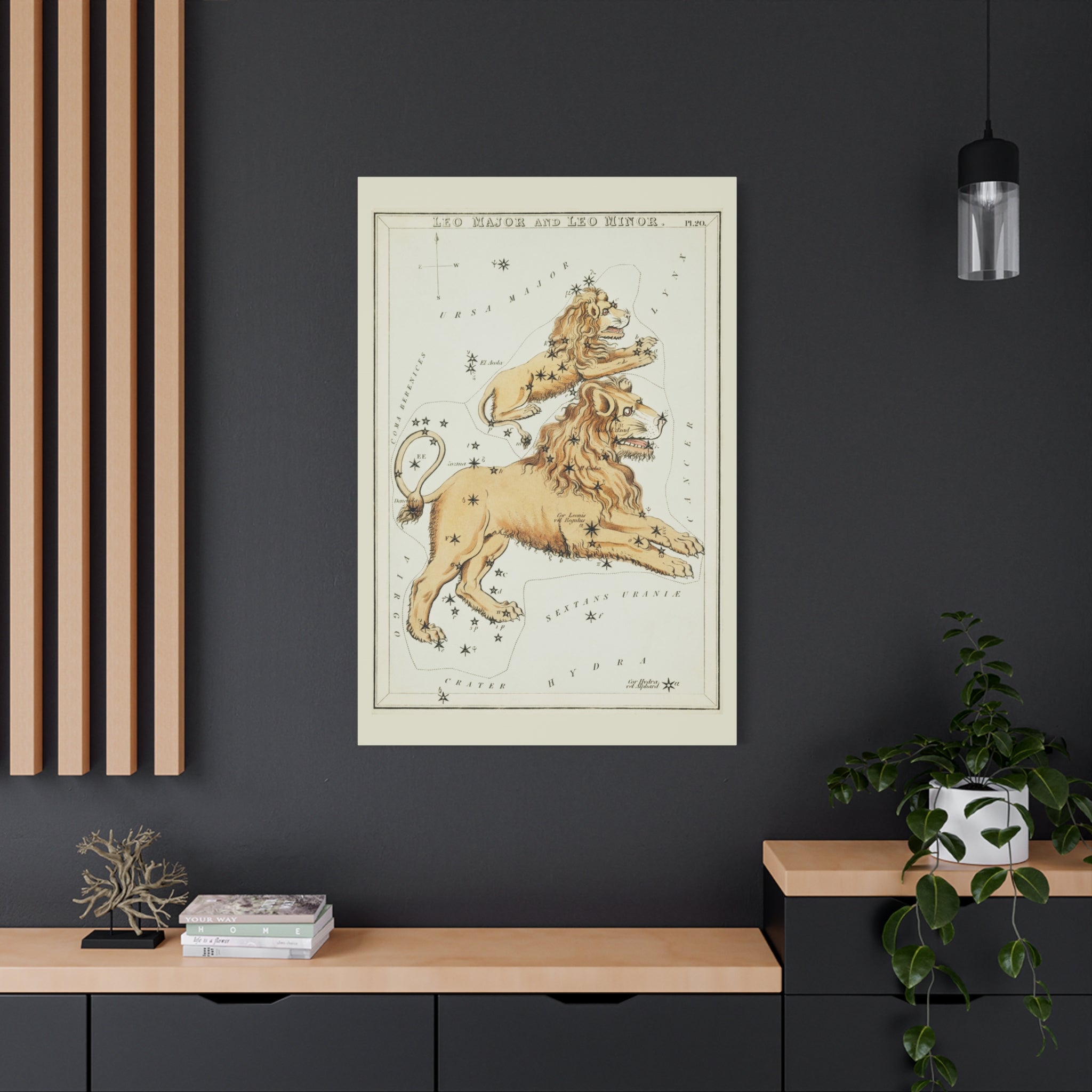 canvas-print-star-map-leo-major-leo-minor-celestial-gift-vintage-map-celestial-map-wall-art-decor-astronomy-decor-constellati