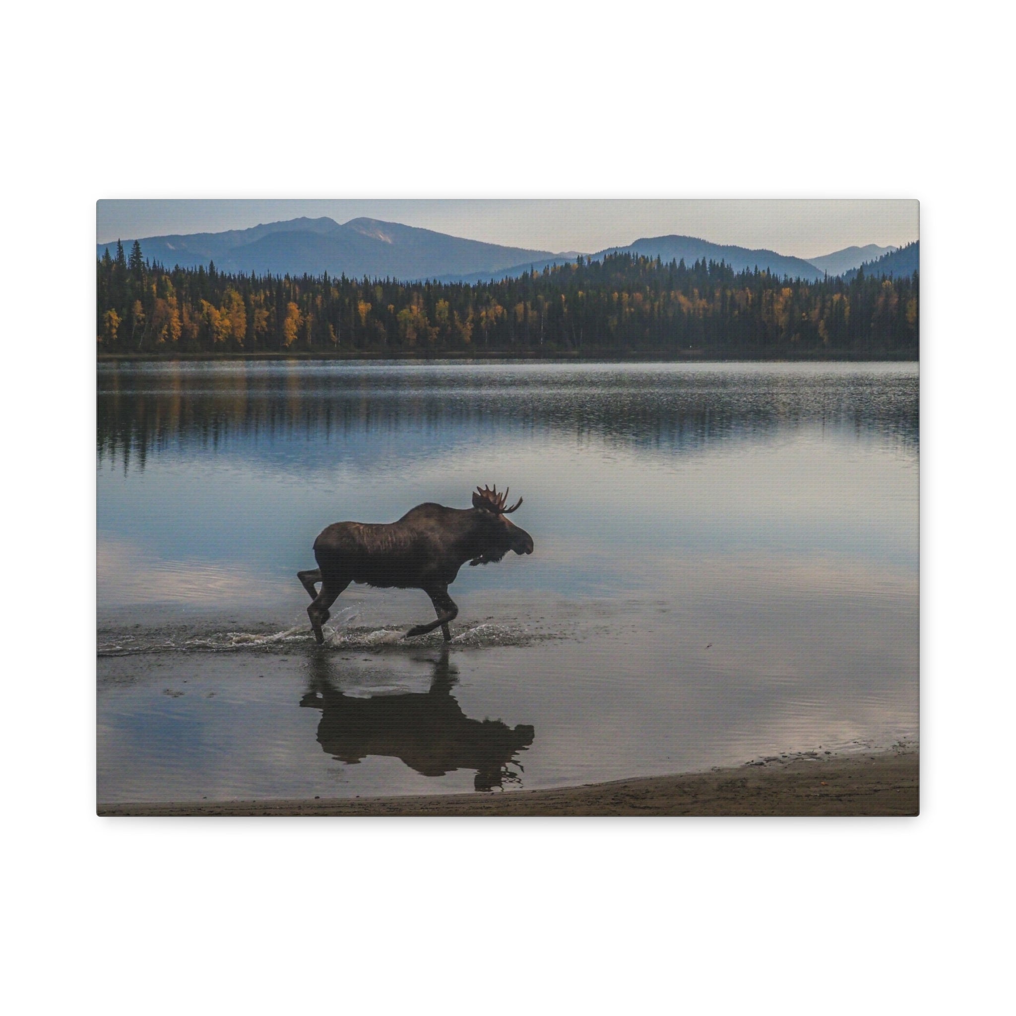 canvas-art-print-rustic-moose-wall-decor-cabin-lodge-wildlife-painting-nature-home-decor-wilderness-animal-poster-farmhouse-w