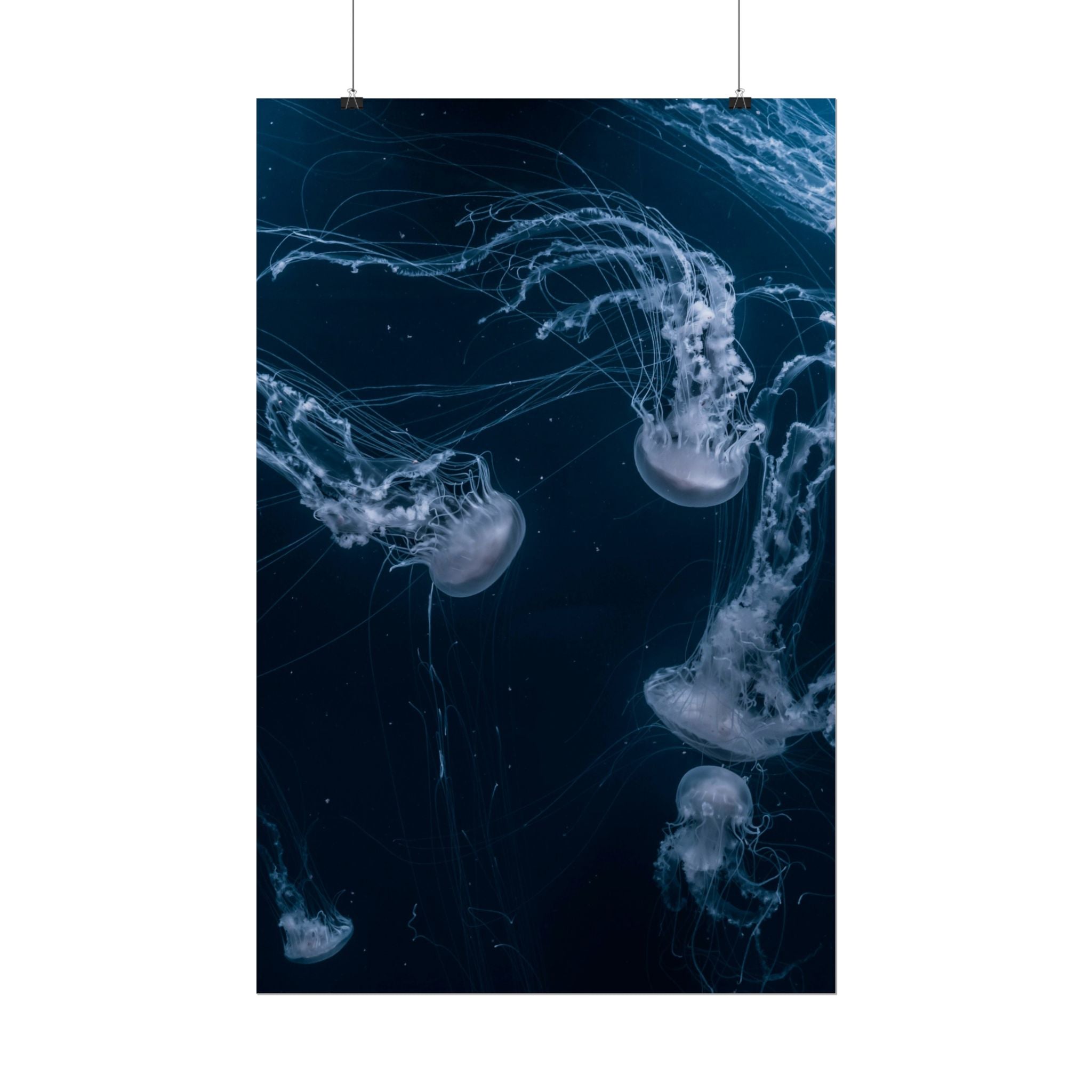 long-jellyfish-wall-art-poster-print-wall-hanging-ocean-life-deep-ocean-decor-home-decor-housewarming-gift