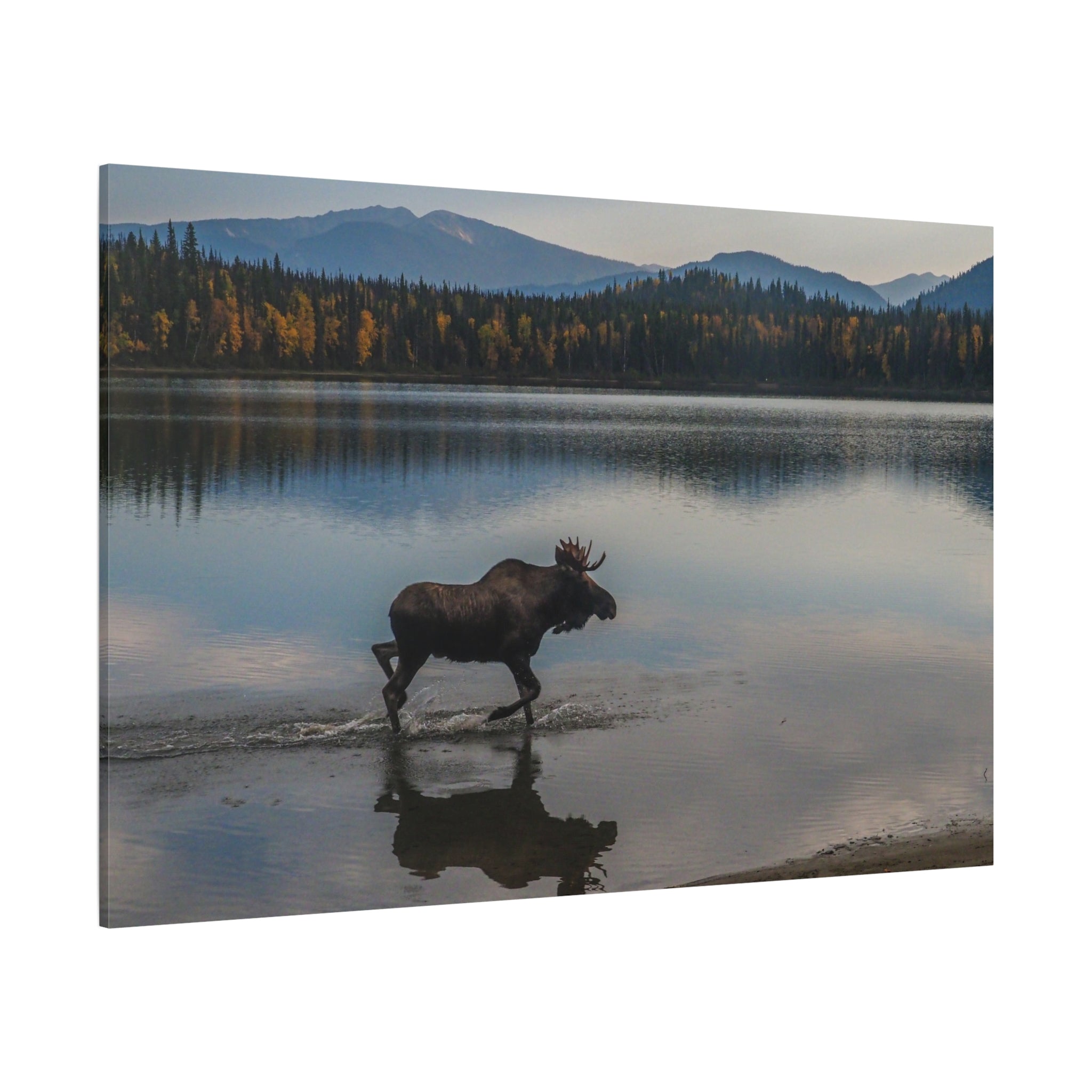 canvas-art-print-rustic-moose-wall-decor-cabin-lodge-wildlife-painting-nature-home-decor-wilderness-animal-poster-farmhouse-w