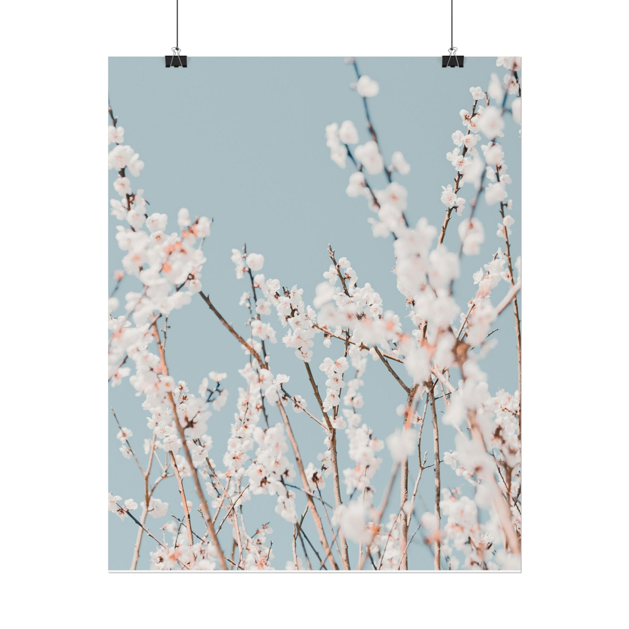 blossom-flowers-poster-print-minimalist-aesthetic-wall-art-fine-art-paper-home-decor-floral-decor-elegant-artwork