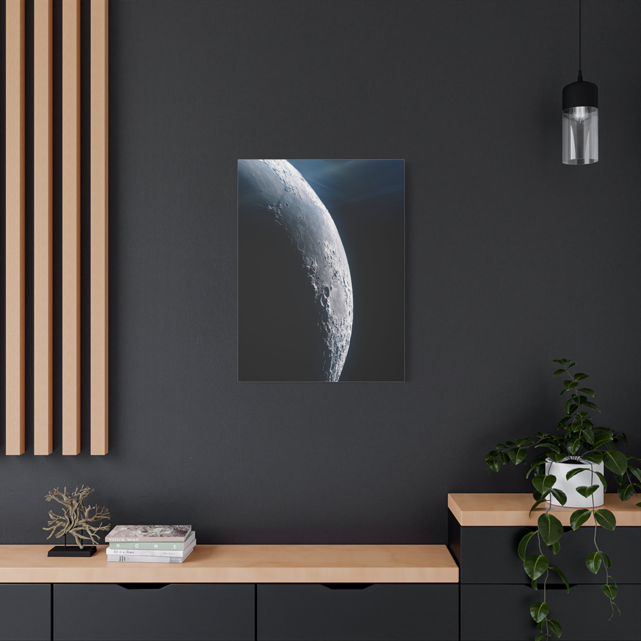 moon-surface-canvas-wall-art-matte-canvas-print-for-home-decor-stretchedcavnas-living-room-decor-moon-canvas-print