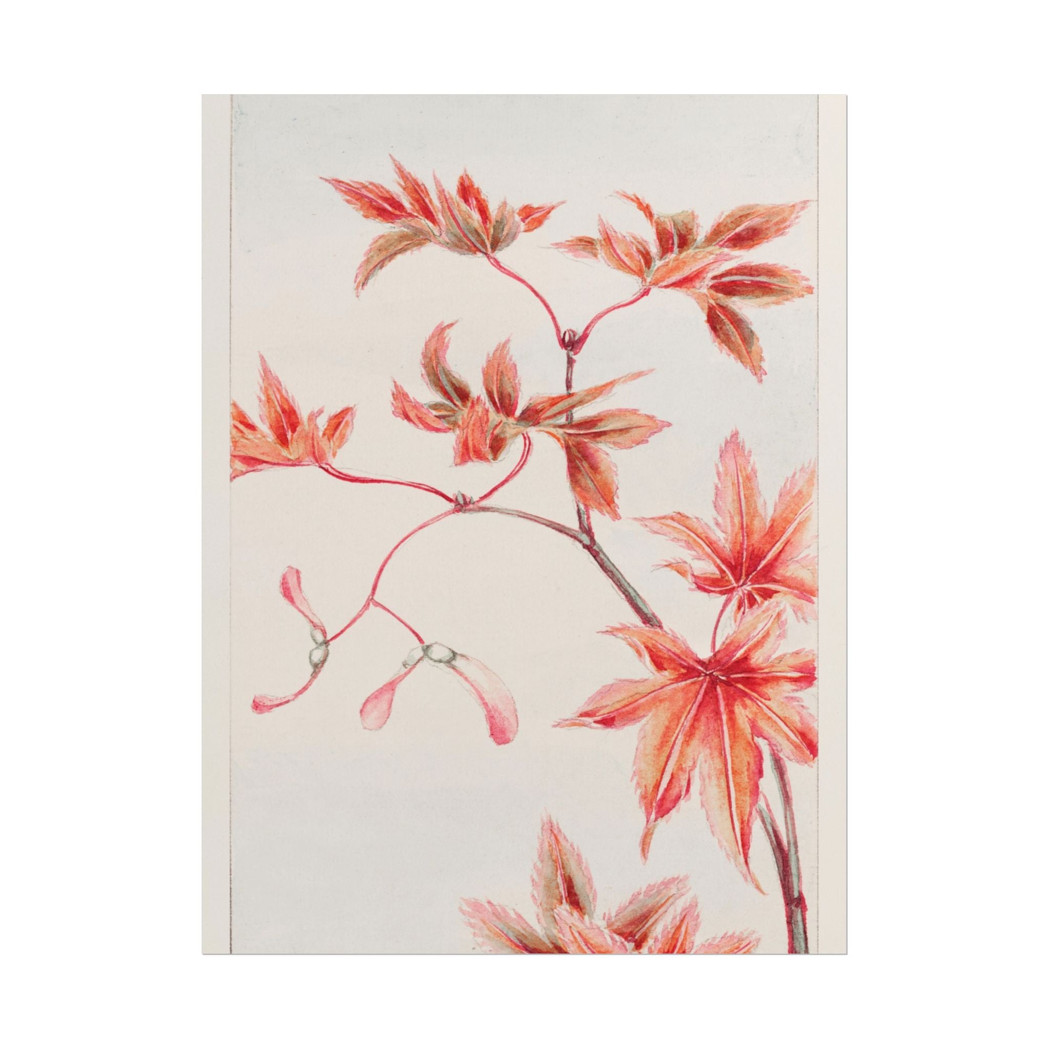 poster-print-branch-of-momiji-maple-tree-with-leaves-floral-wall-art-rolled-posters-wall-decor-room-decoration-nature-art-bot