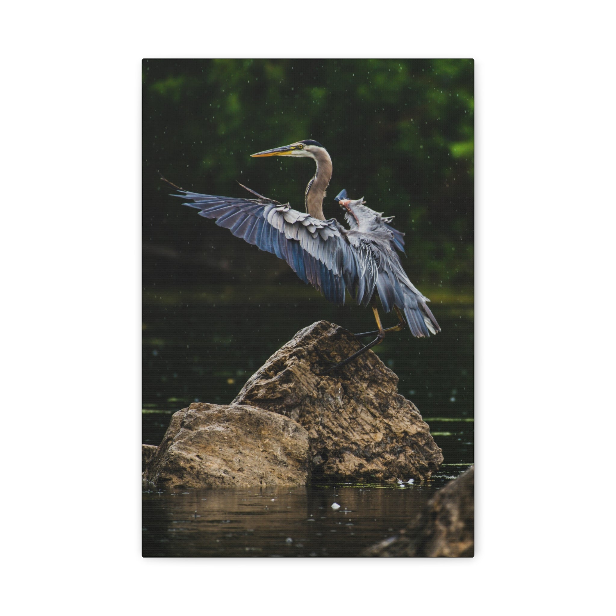 canvas-print-wall-art-great-blue-heron-matte-canvas-stretched-home-decor-bird-lover-gift-nature-wall-hanging-wildlife